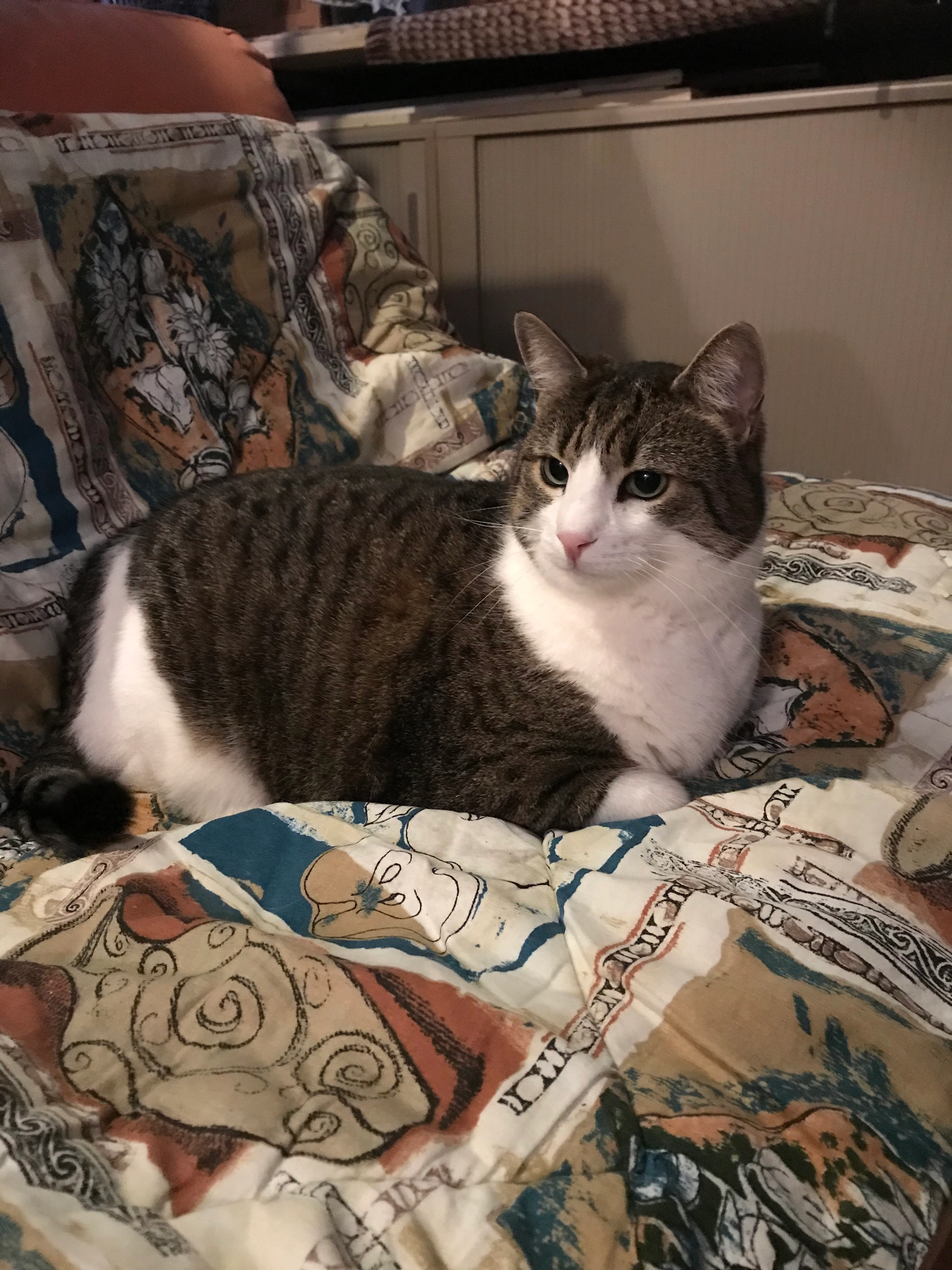 Lilly - Chemin de la Crête 7, Sion