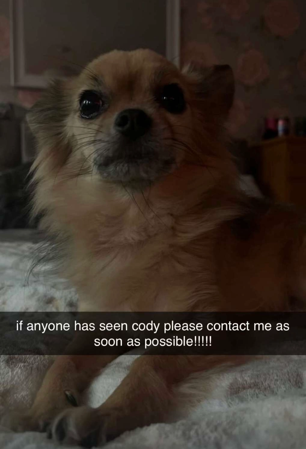 Cody - Lincoln Way, Thetford