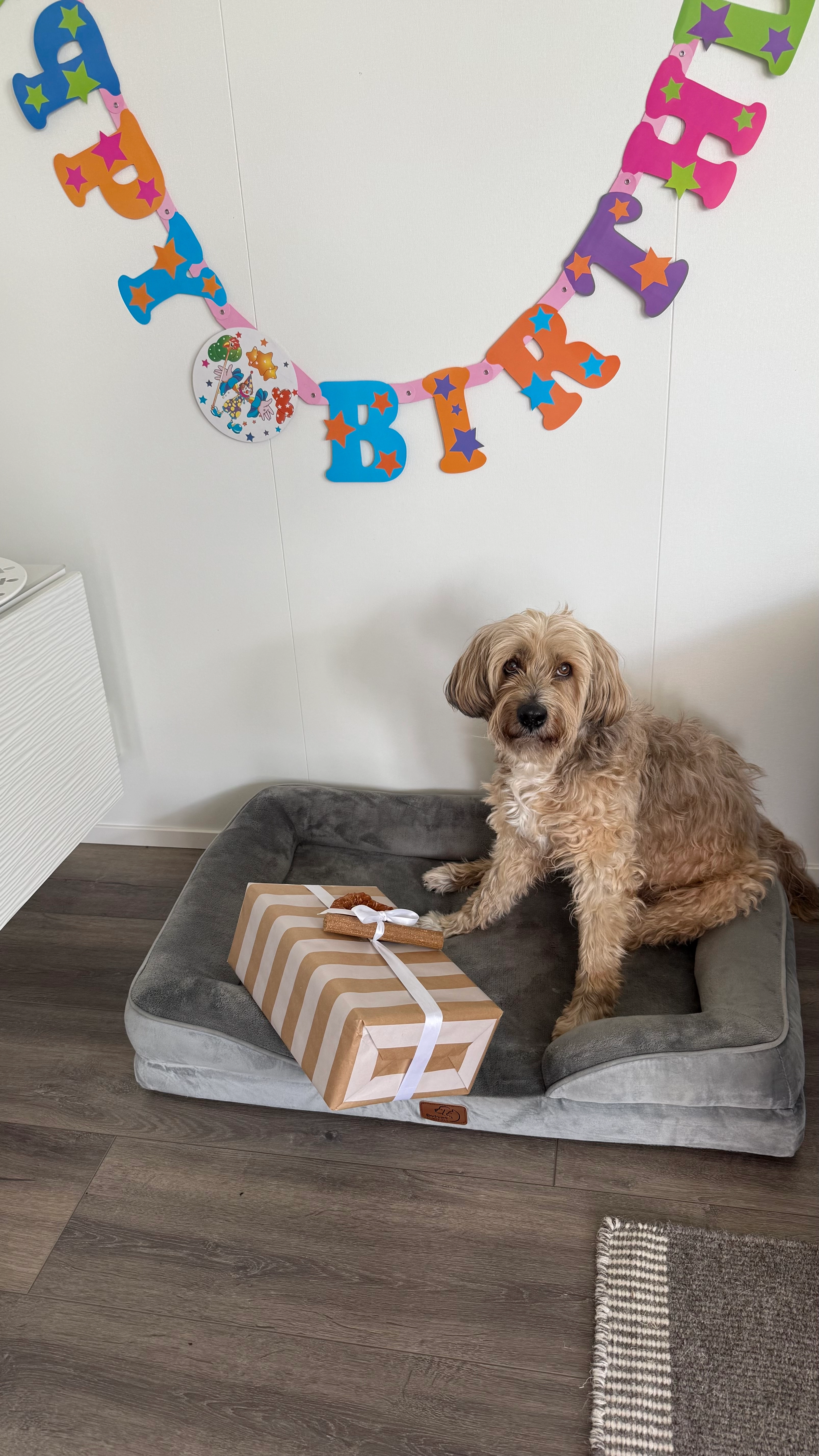 Filou - Grafschafter Straße, Duisburg