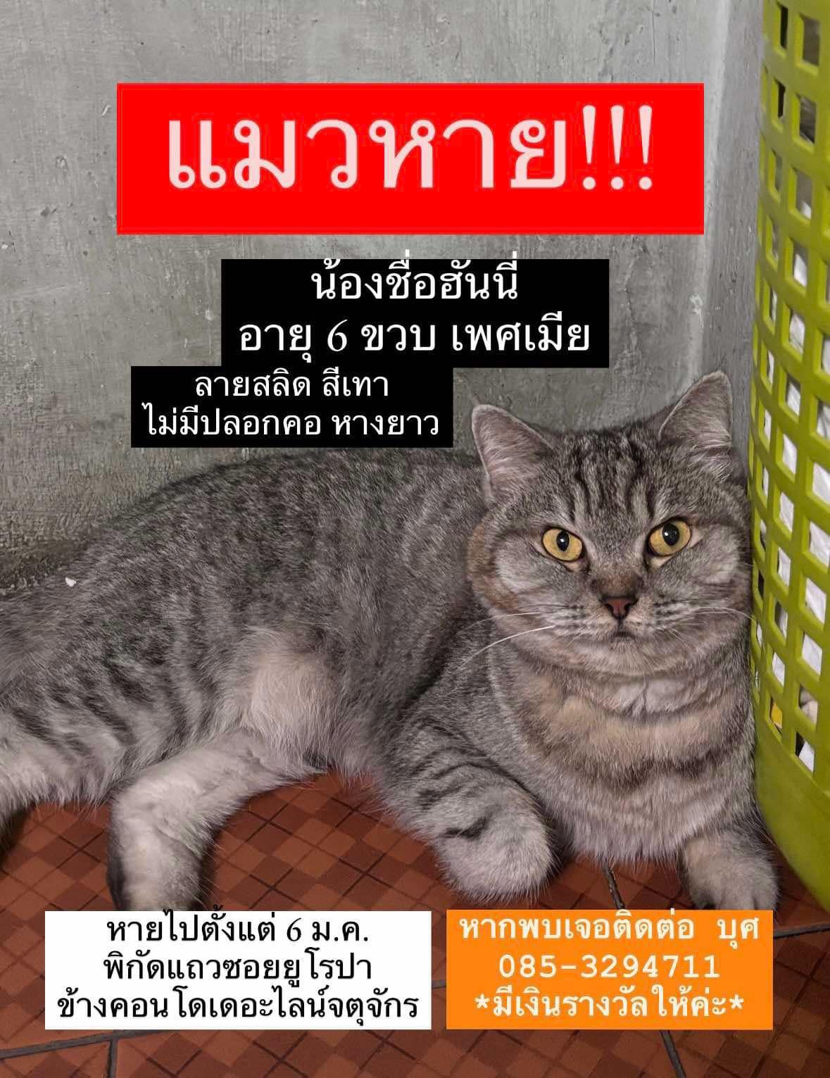 Honey - ซอยยูโรปา, Bangkok