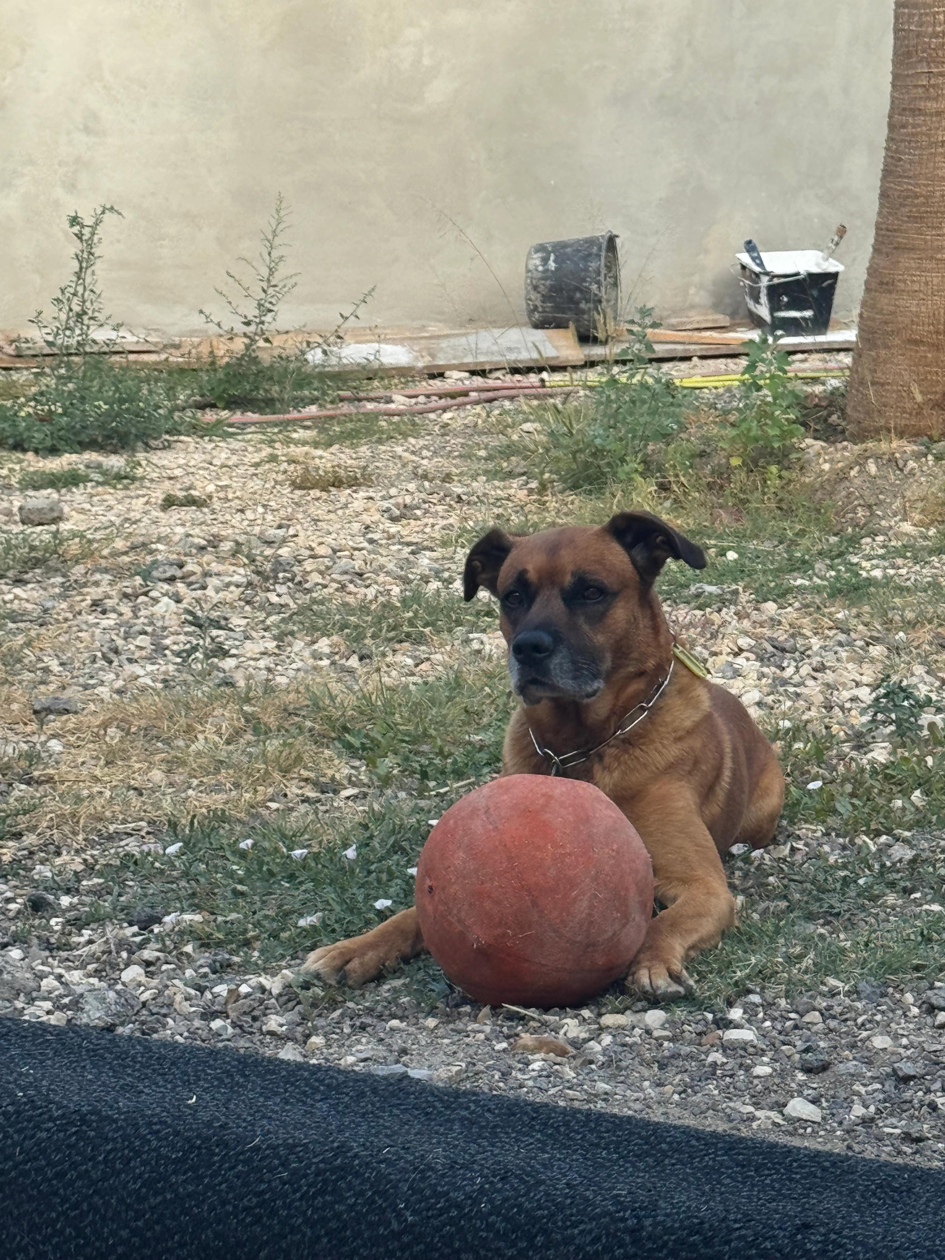 Nassau - Rue des Sauges, Nîmes