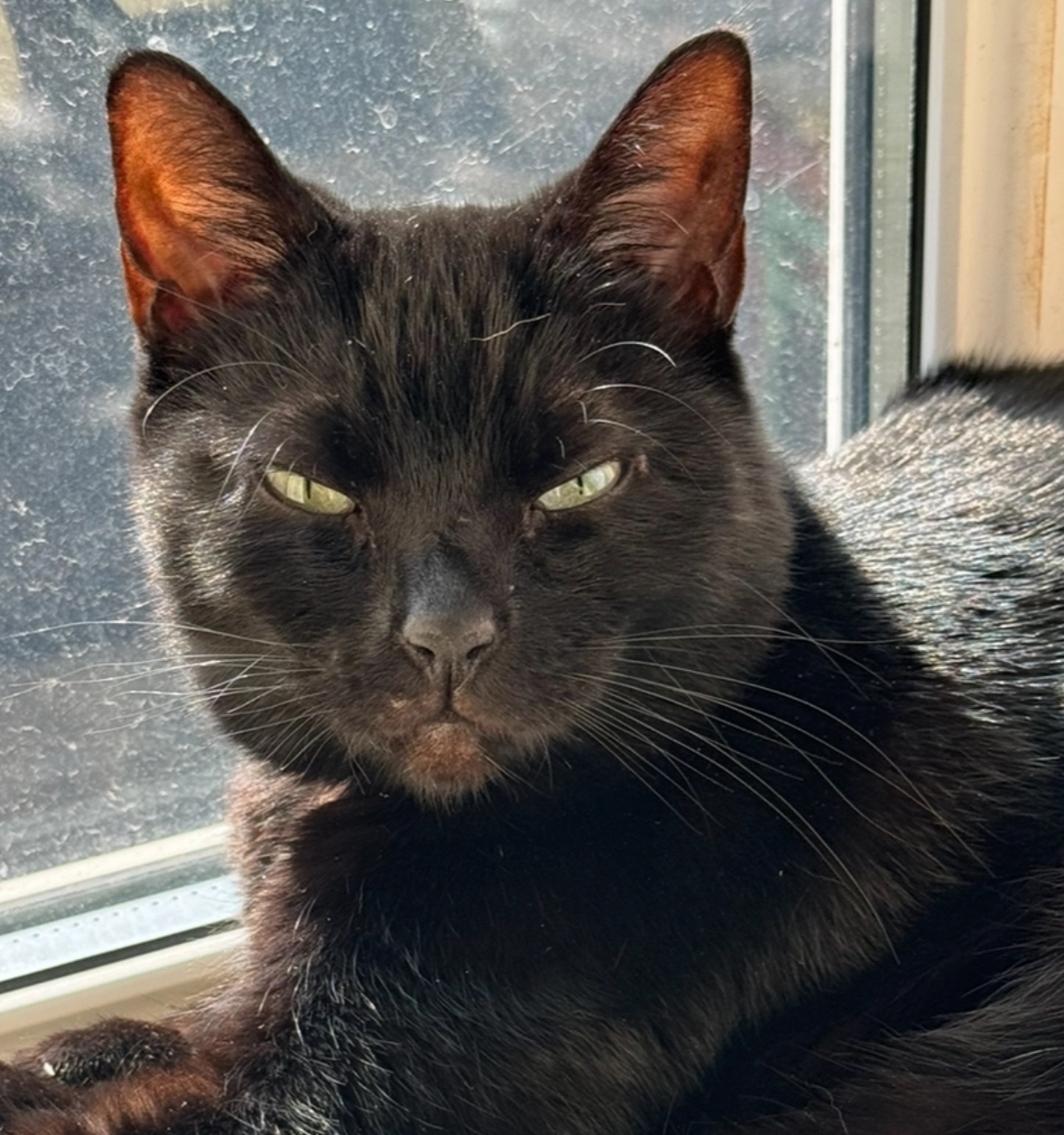 Shadow  - Sale Road, Manchester