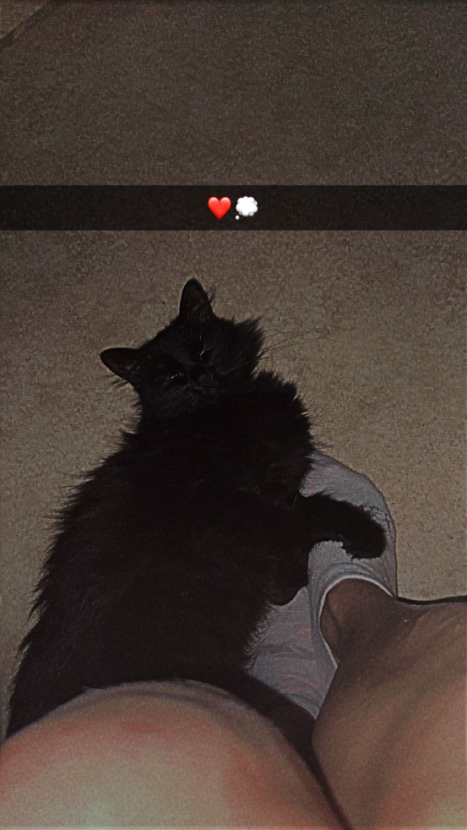 Molly - Hauptstraße, Hirschstein