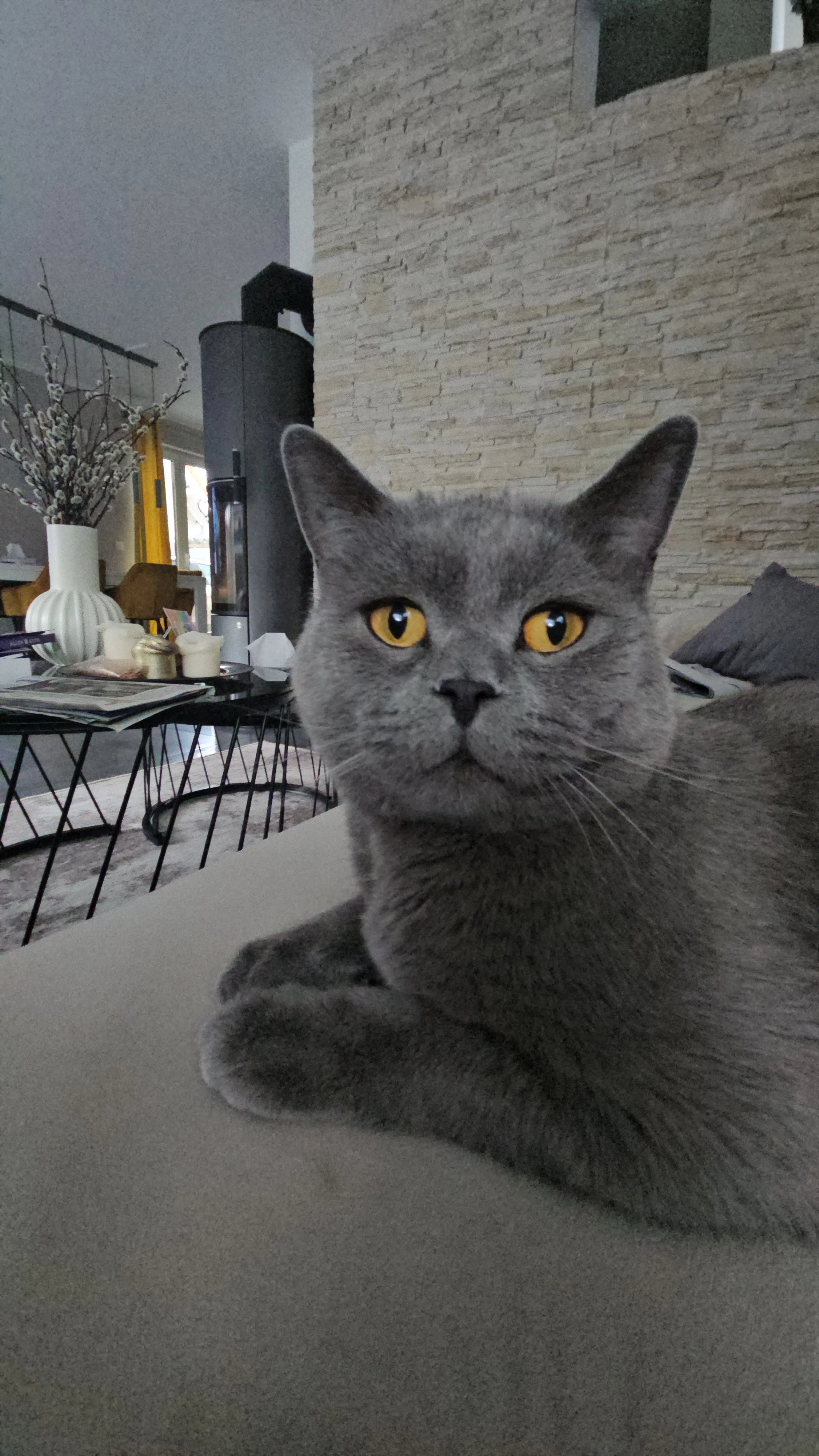 Lulu - 52080, Aachen