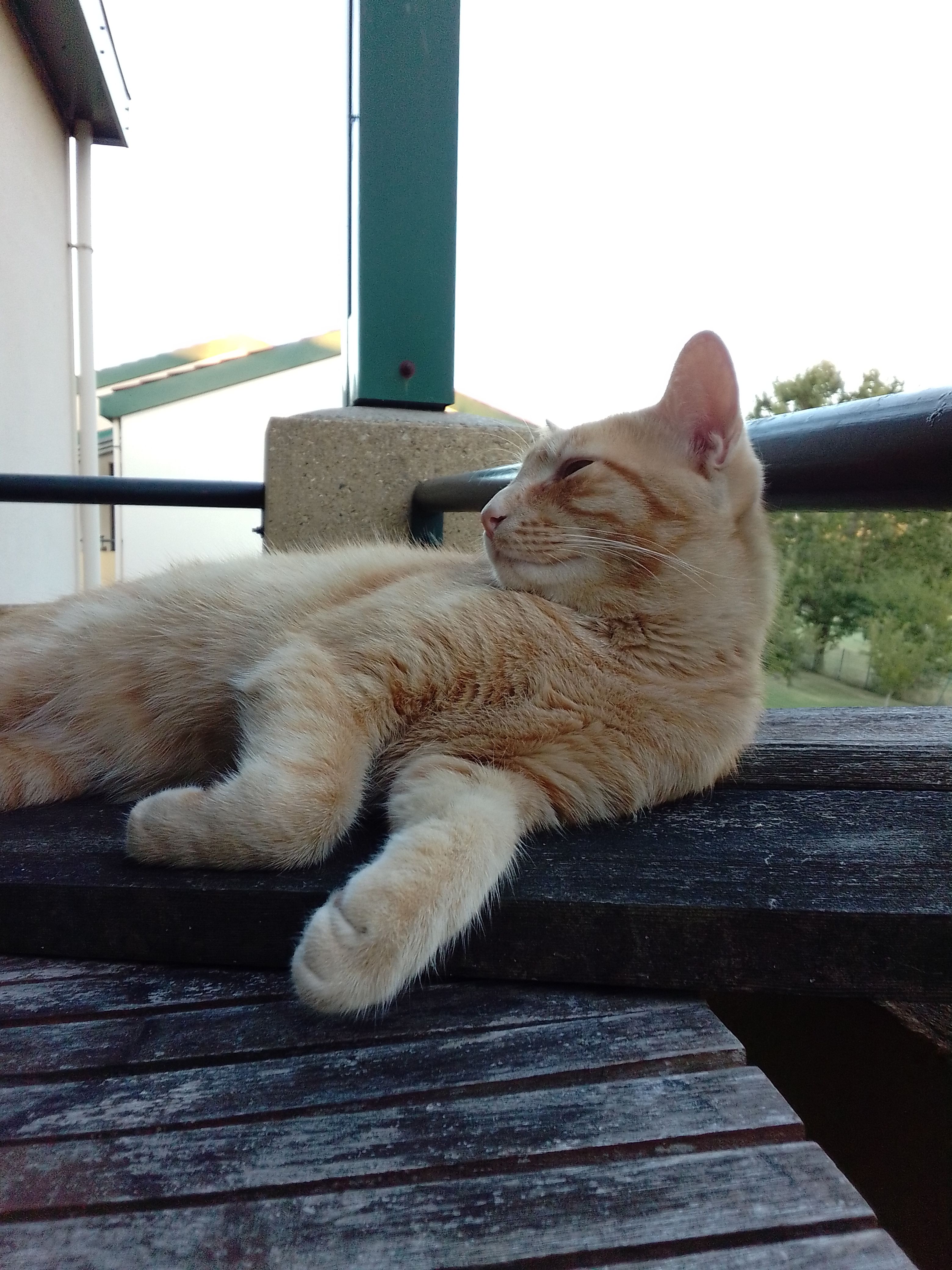 Zéphyr  - Route Du Golf, Castelnaud-de-Gratecambe