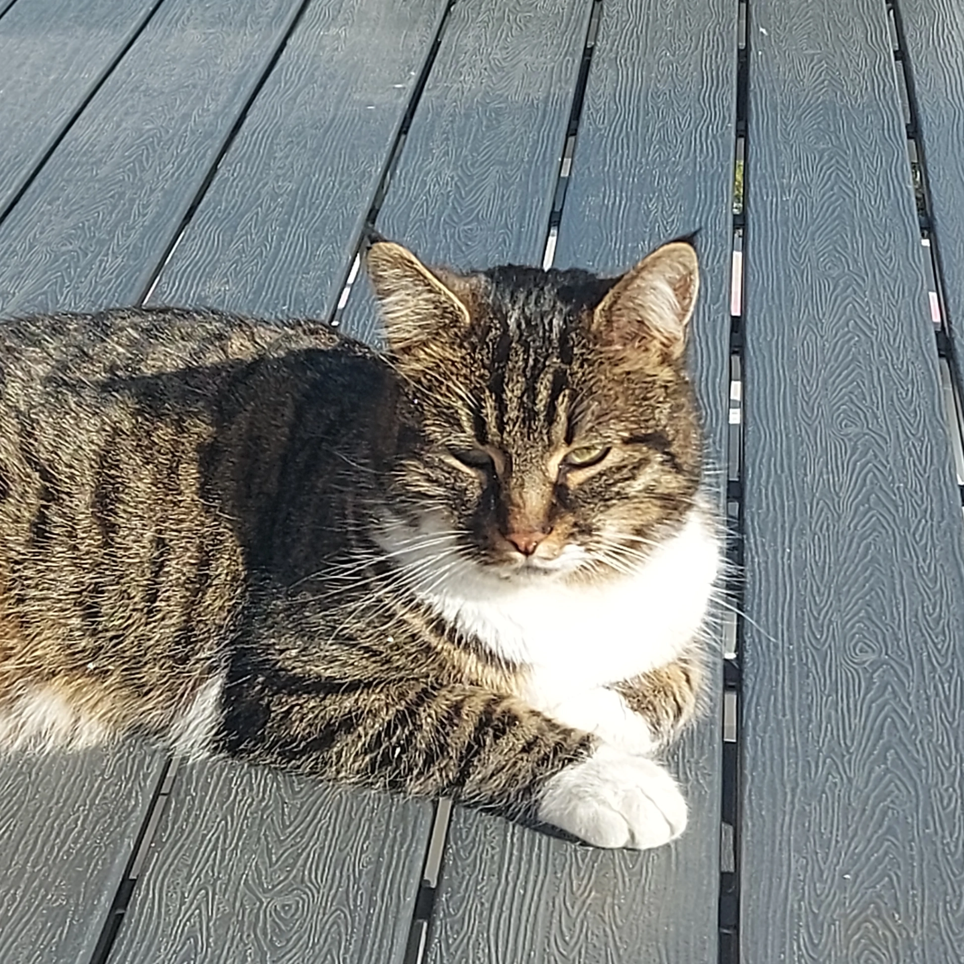 Matsoni - Sinpas Altinoran Ilkbahar mah. Galip Erdem,  panorama elveri 35, Yeonho-dong