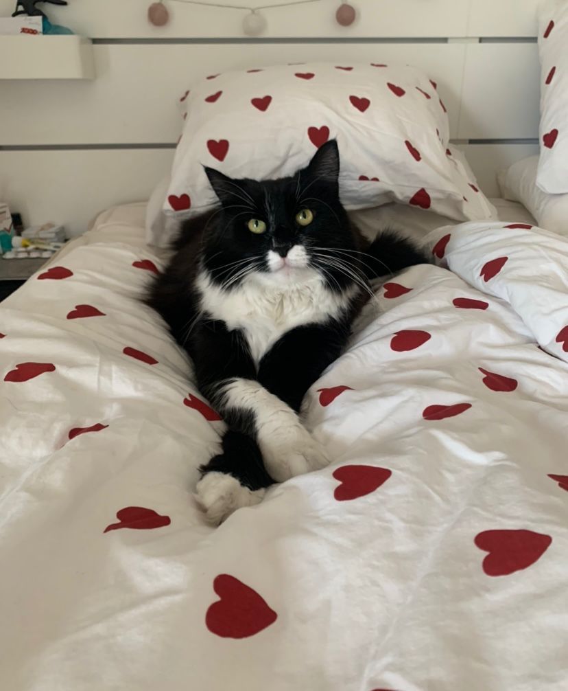 Bâti - Rue de la Millière, Vétroz