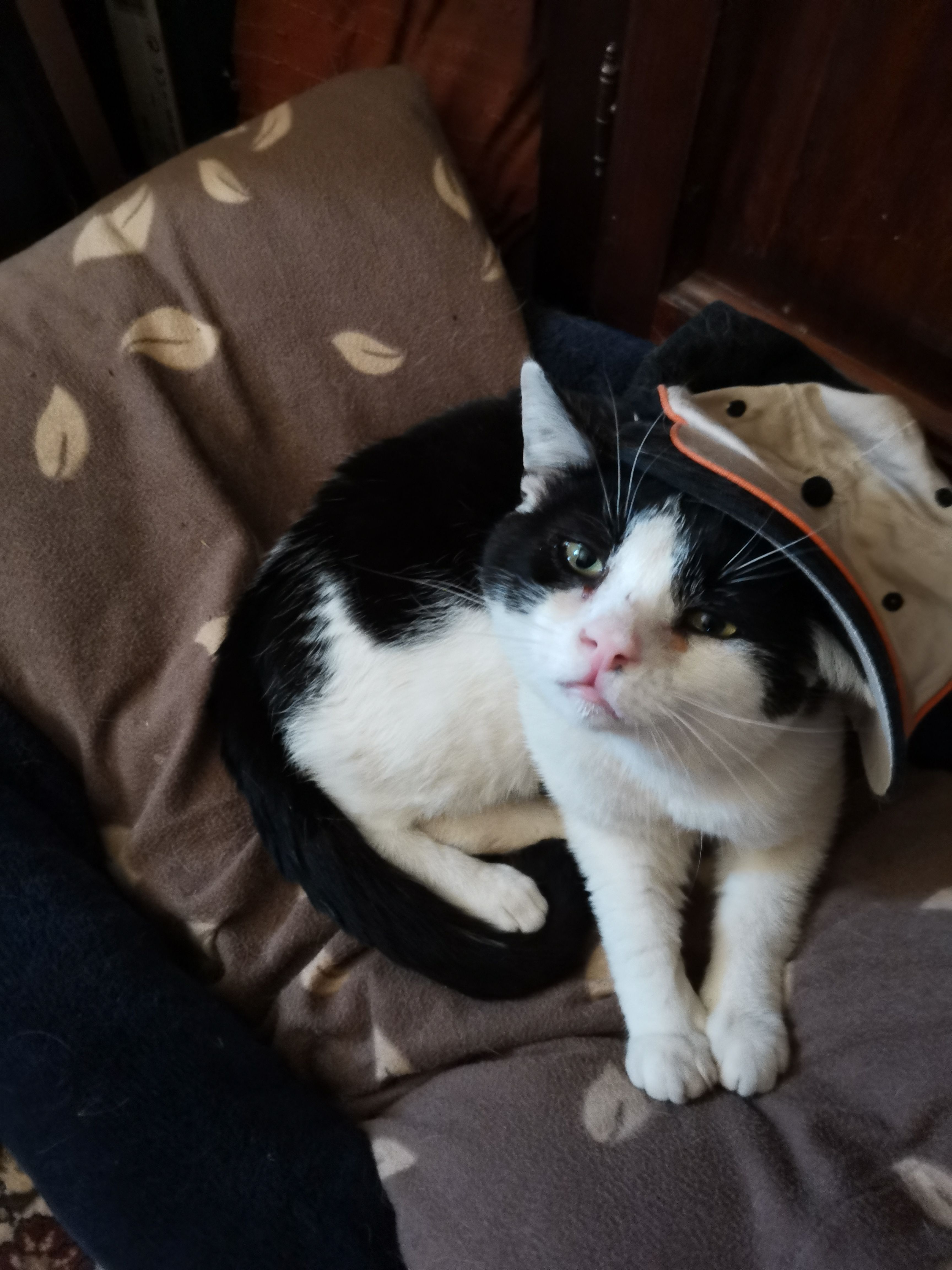 micha - Moosgasse, Mechernich