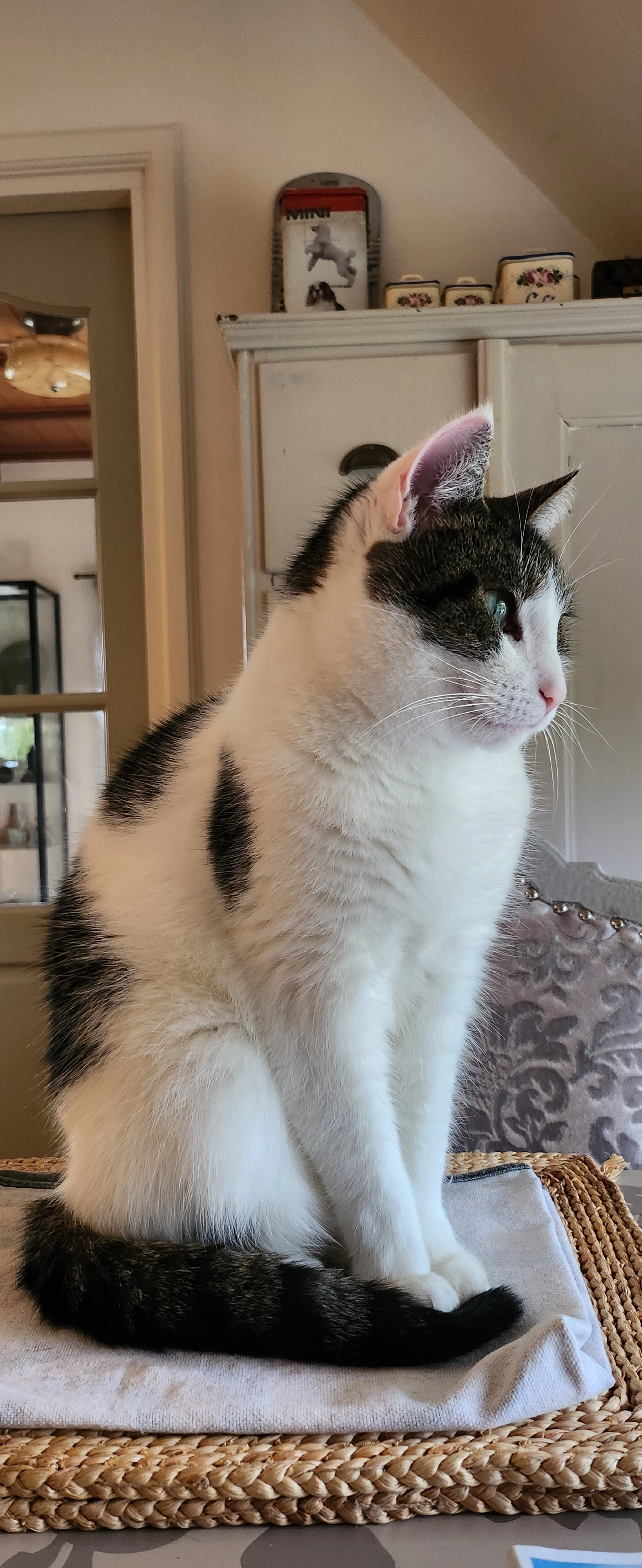 Bailey - Beekseweg, Didam