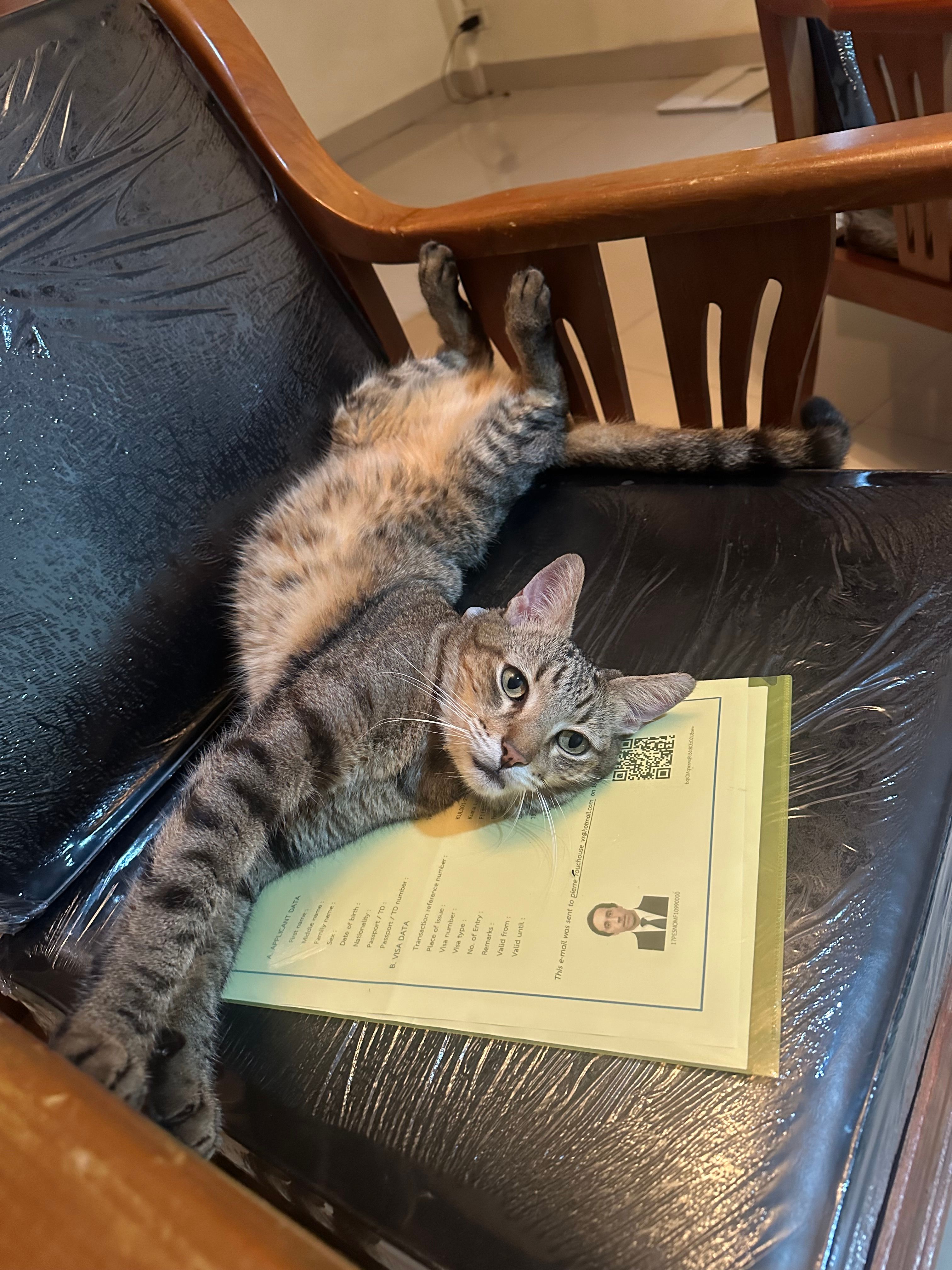 Tupac - Soi Charan Sanit Wong 1, Bangkok