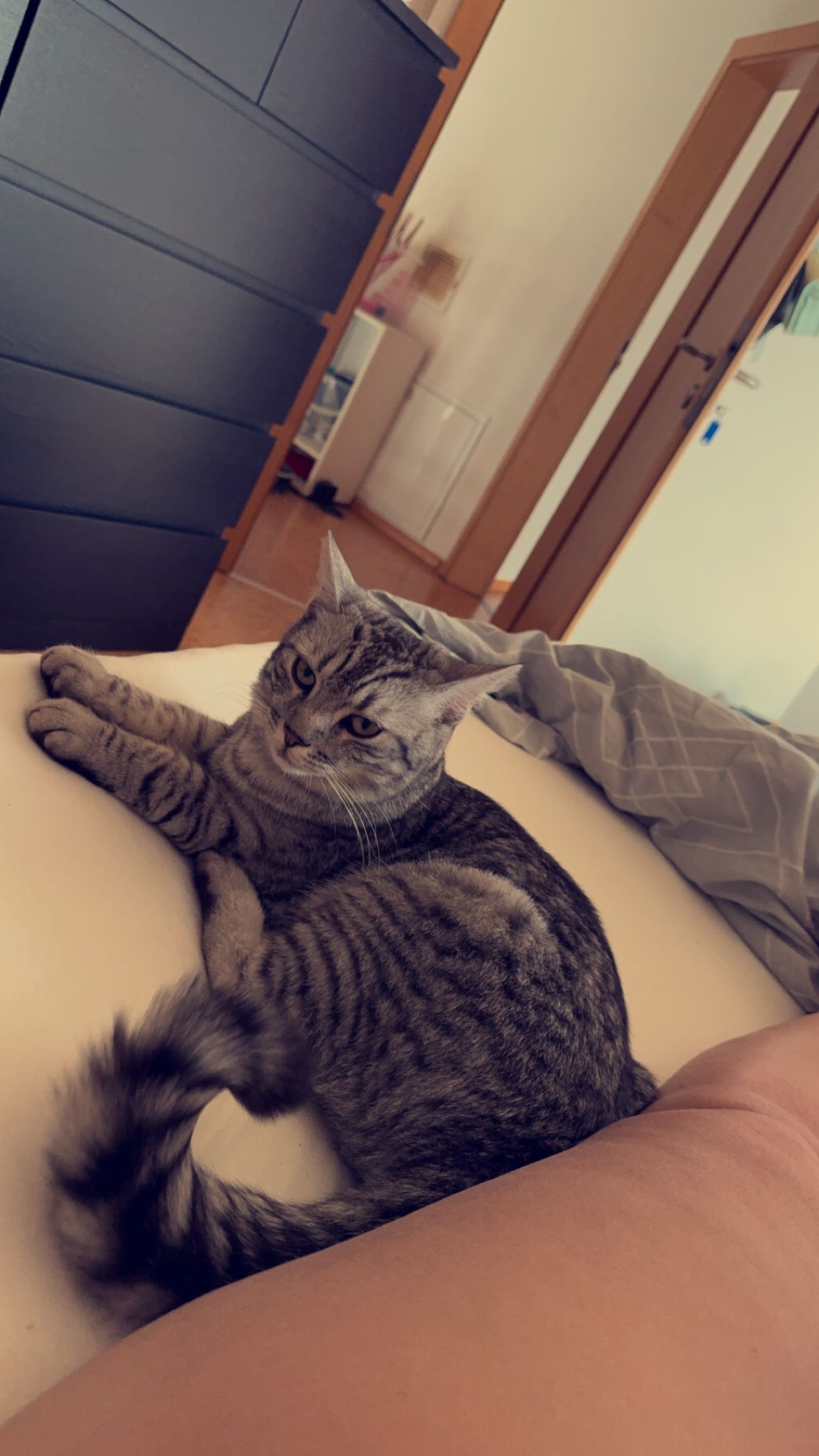 Simba - Unertlstraße, Landau an der Isar