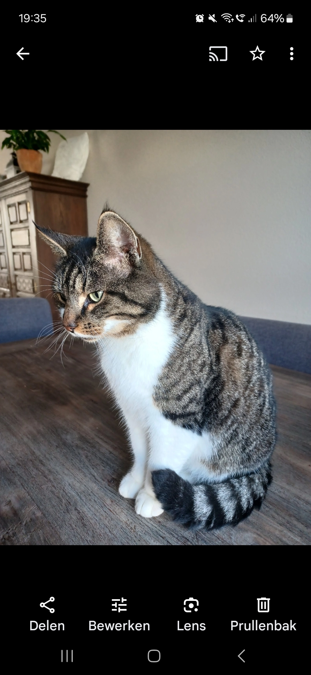 Jackson - Stationsweg, Groningen