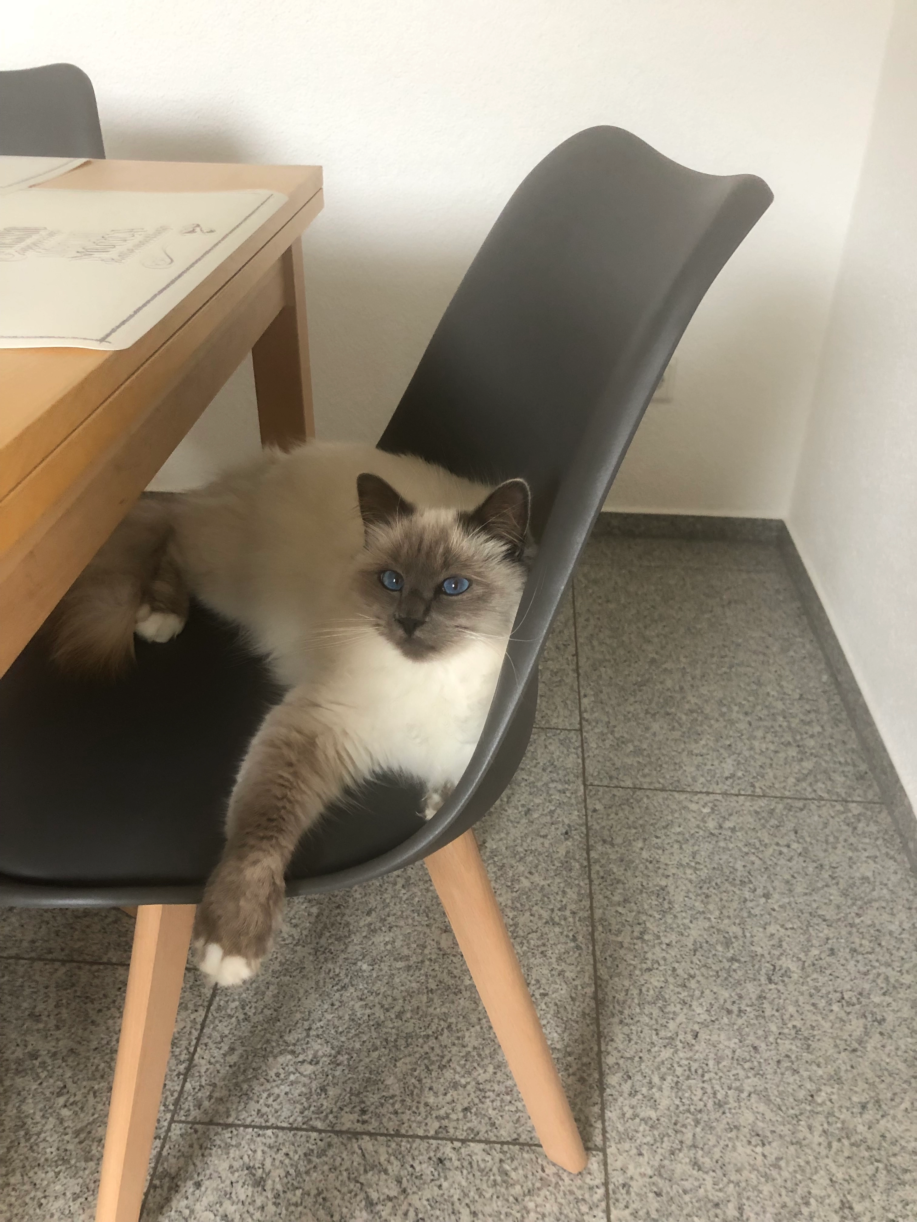 Samy - In Den Seien, Schwedelbach