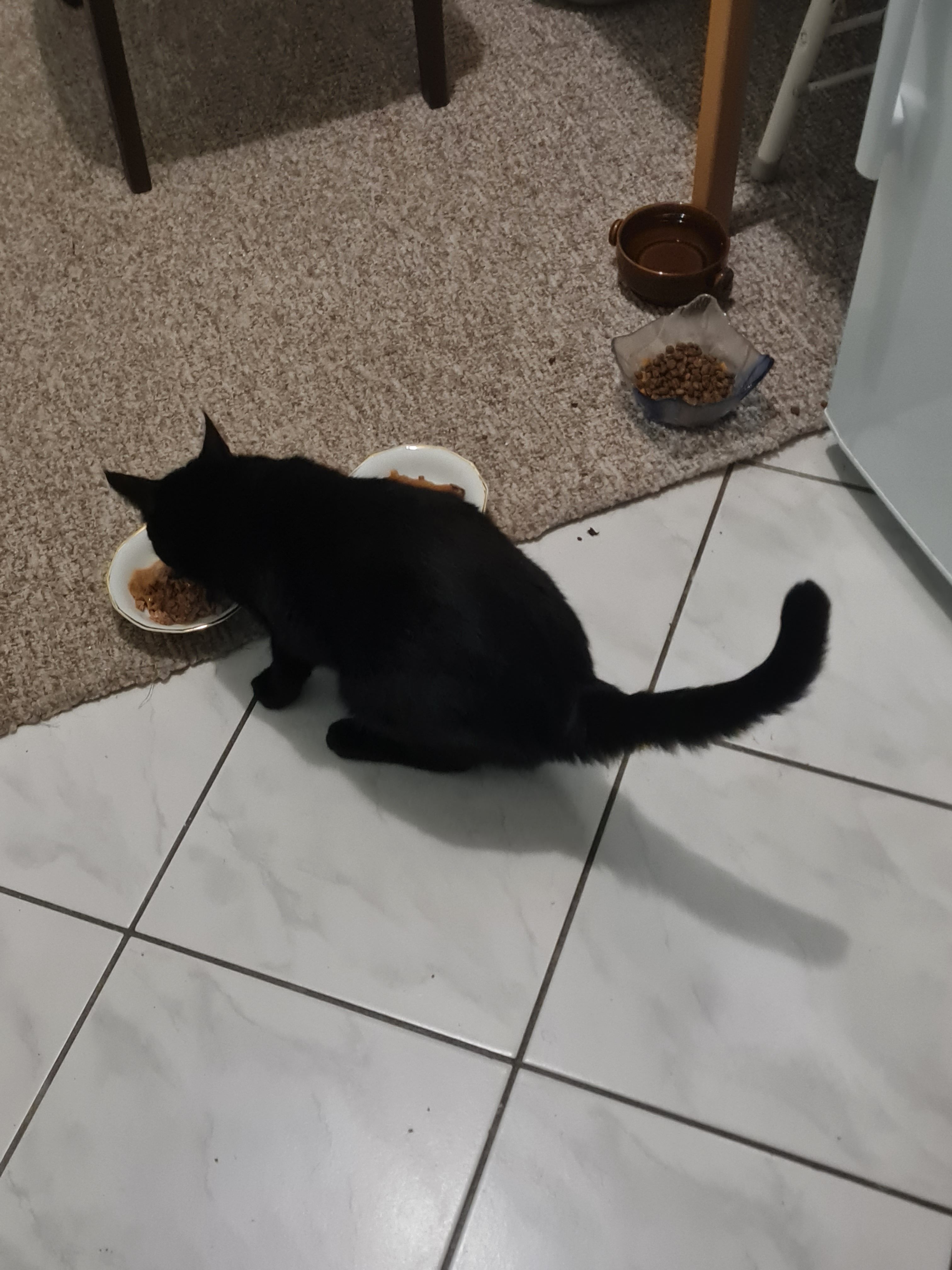 Nala - Plauerhäger Straße, Barkhagen