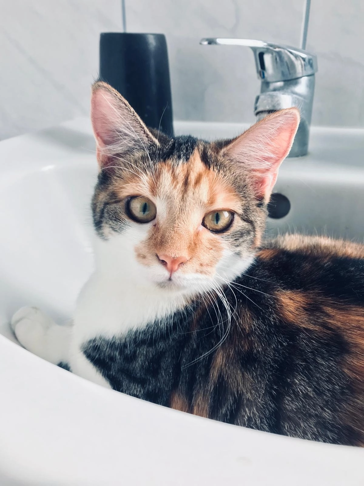 minou  - Magdalenenstraße, Artern