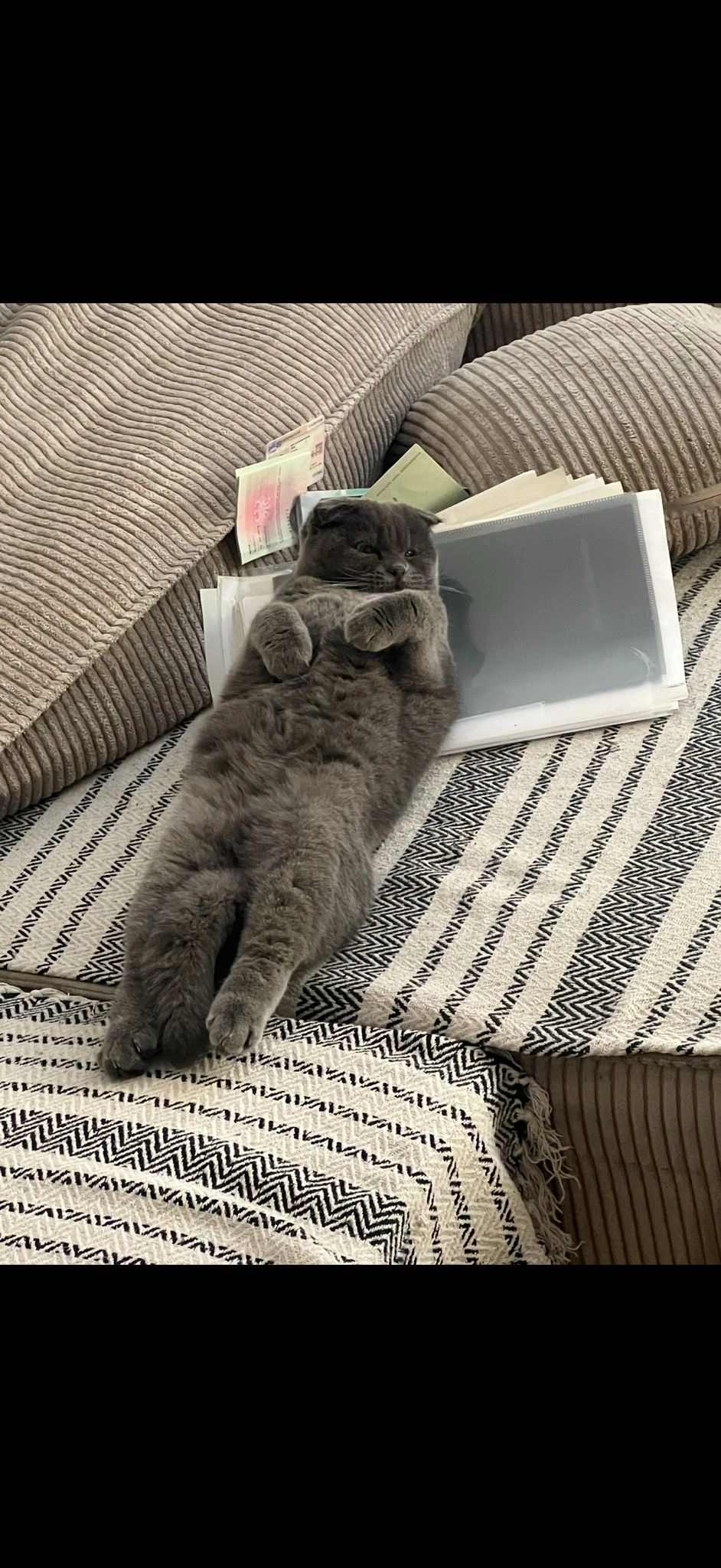 Nala - Bassinstraße, Essen