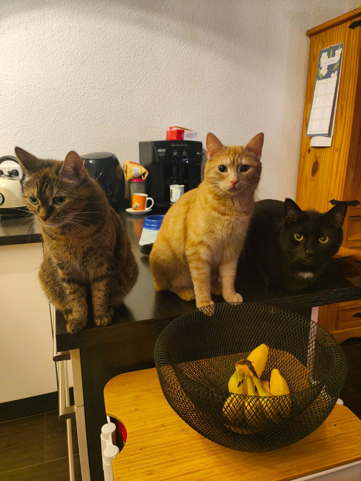 Tirra - Am Alten Schlachthof, Olbernhau