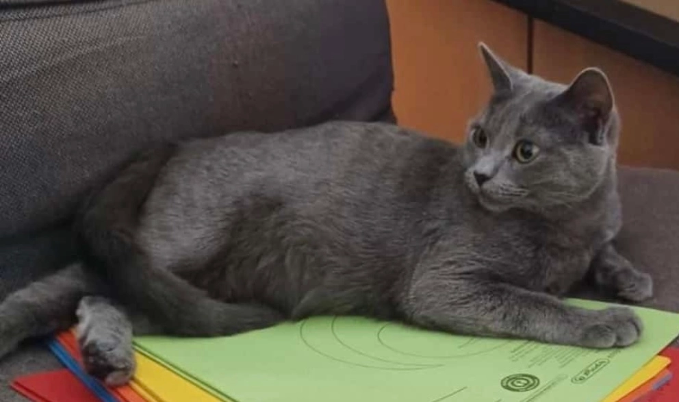 Nala - Carl-von-Ossietzky-Straße, Eberswalde