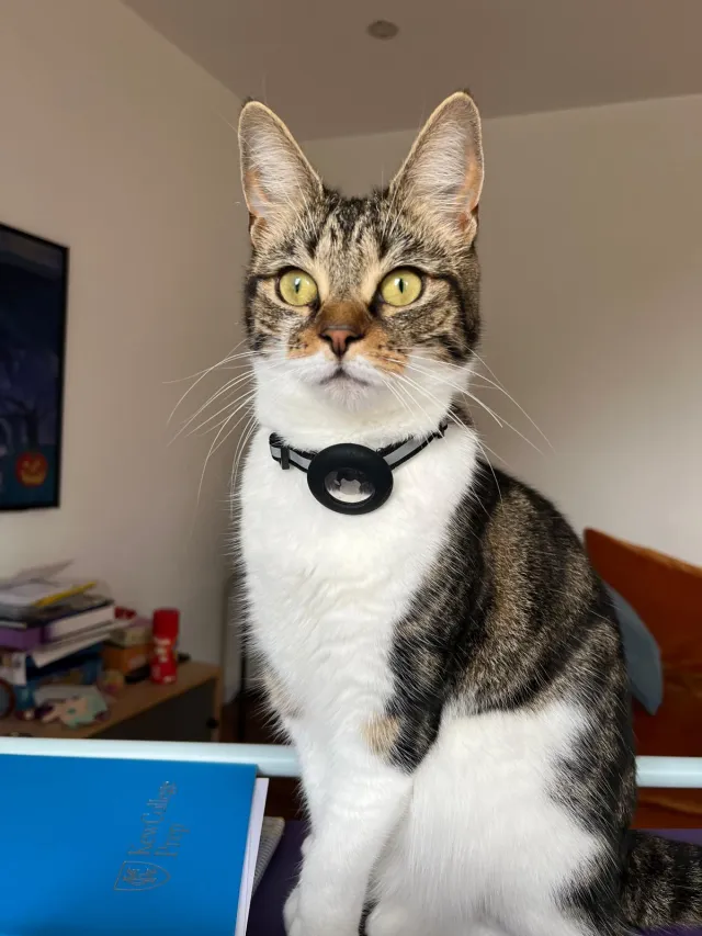 Sam - W4 4, London