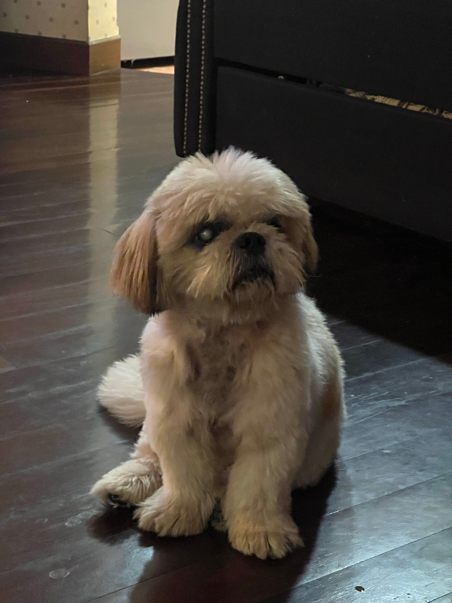 Heagen - Jalan Putri Jaya, Cheras