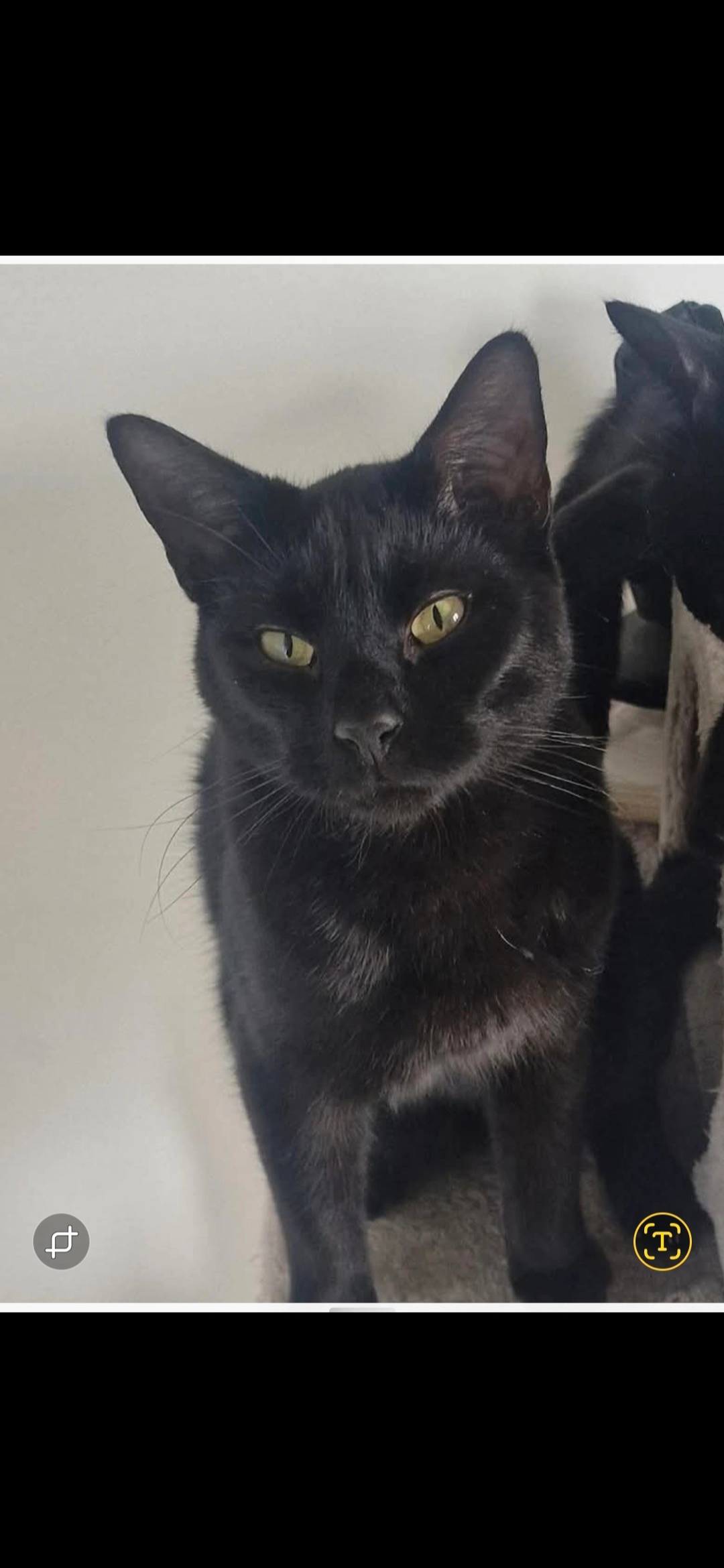 Tango - Jay Close, Loughborough