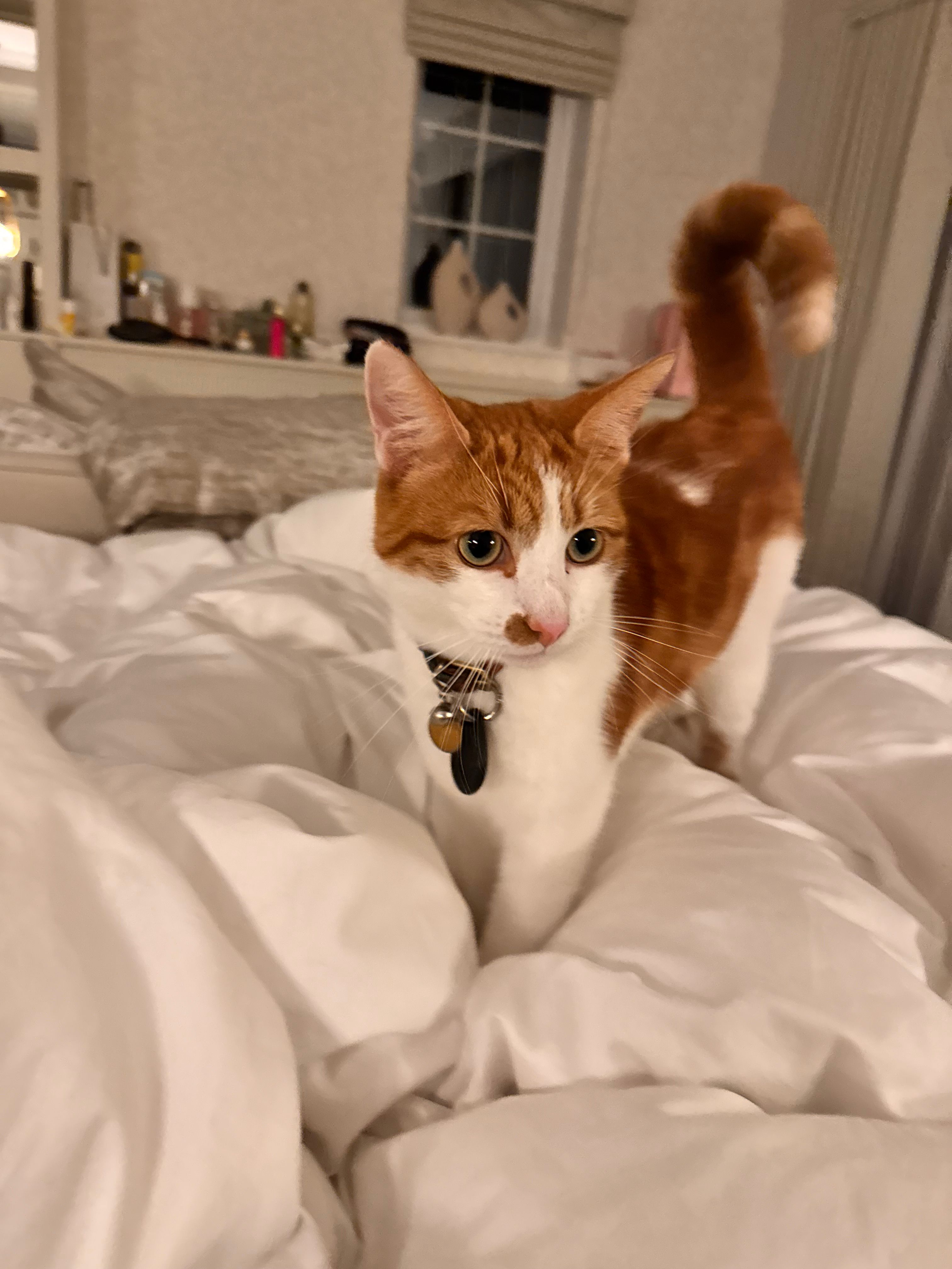 Stevi - Hithercroft Road, Didcot