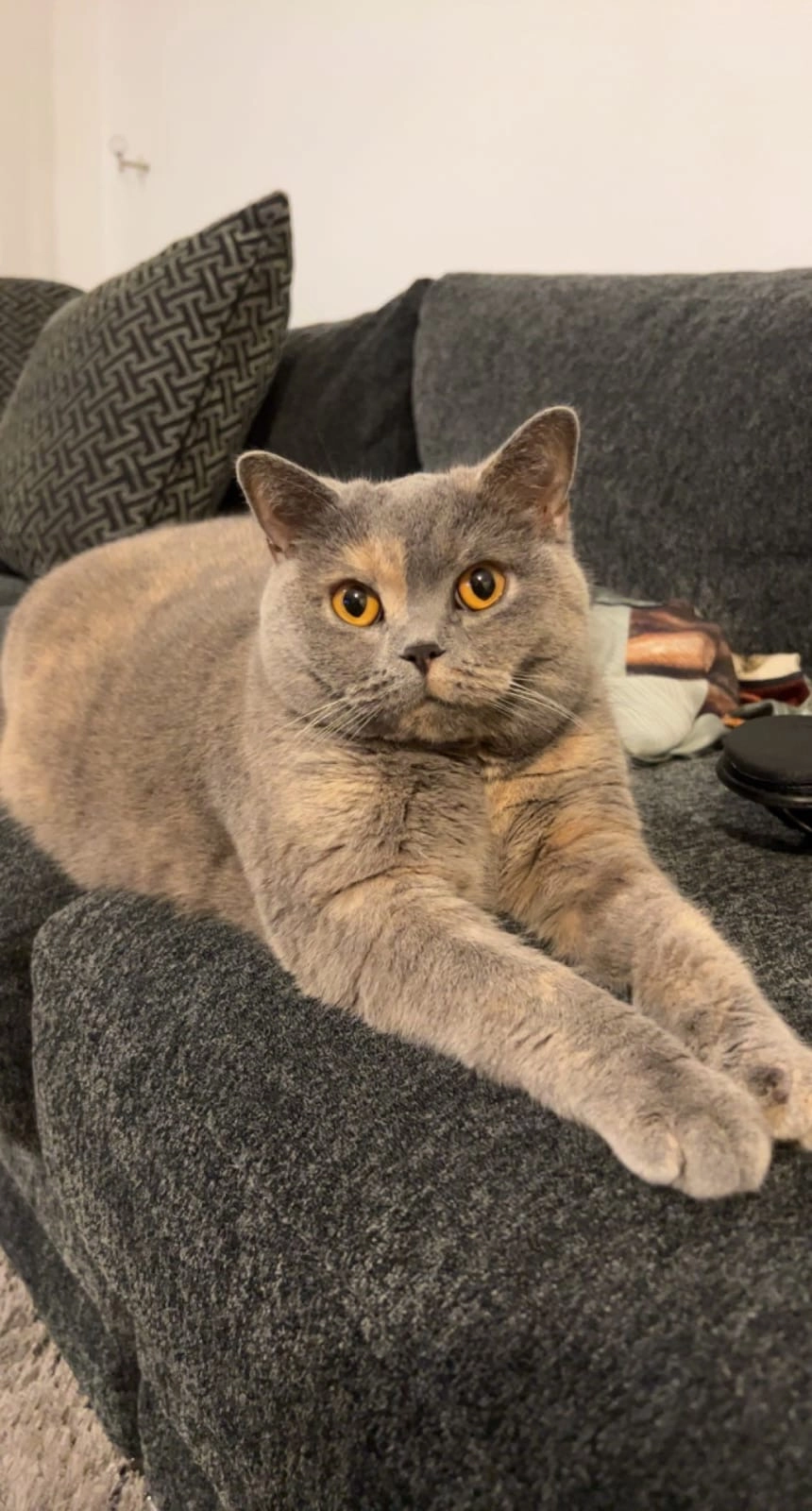 Mia - Prins Mauritsstraat, Zwijndrecht