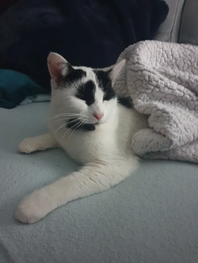 DAISY - Long Furlong, Rugby