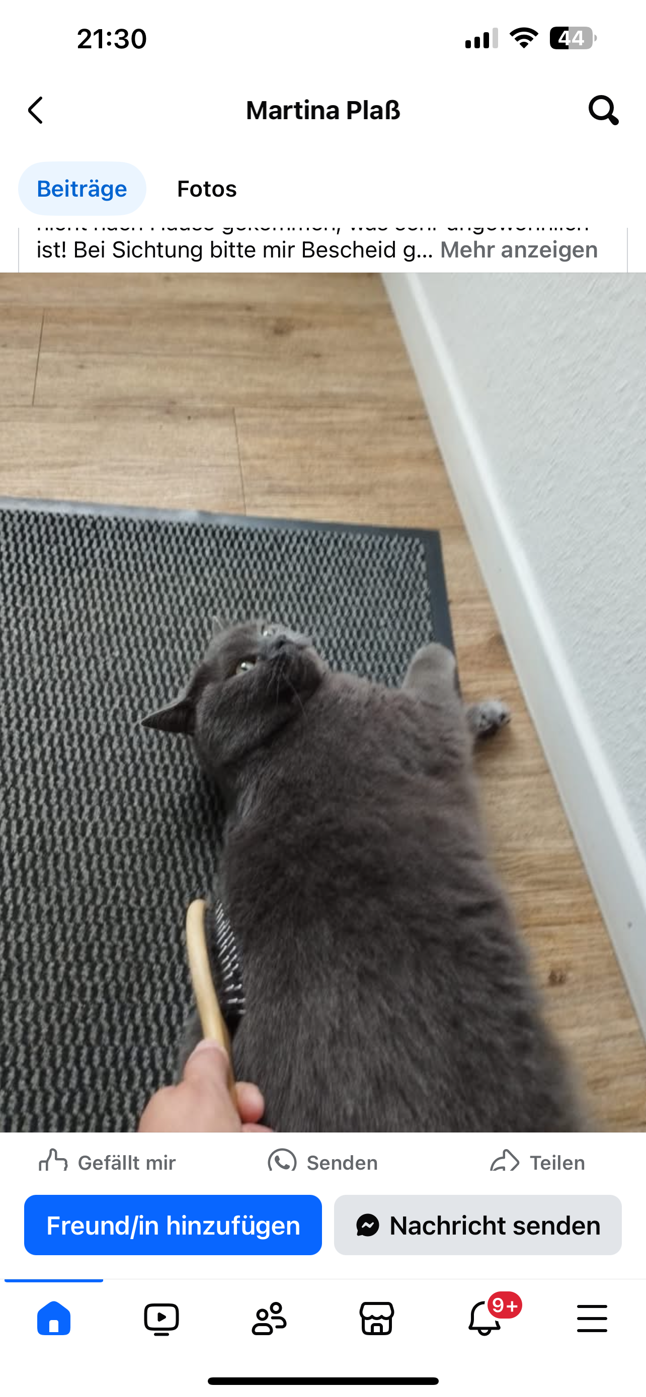 Lilly - Bogenweg, Uelsen