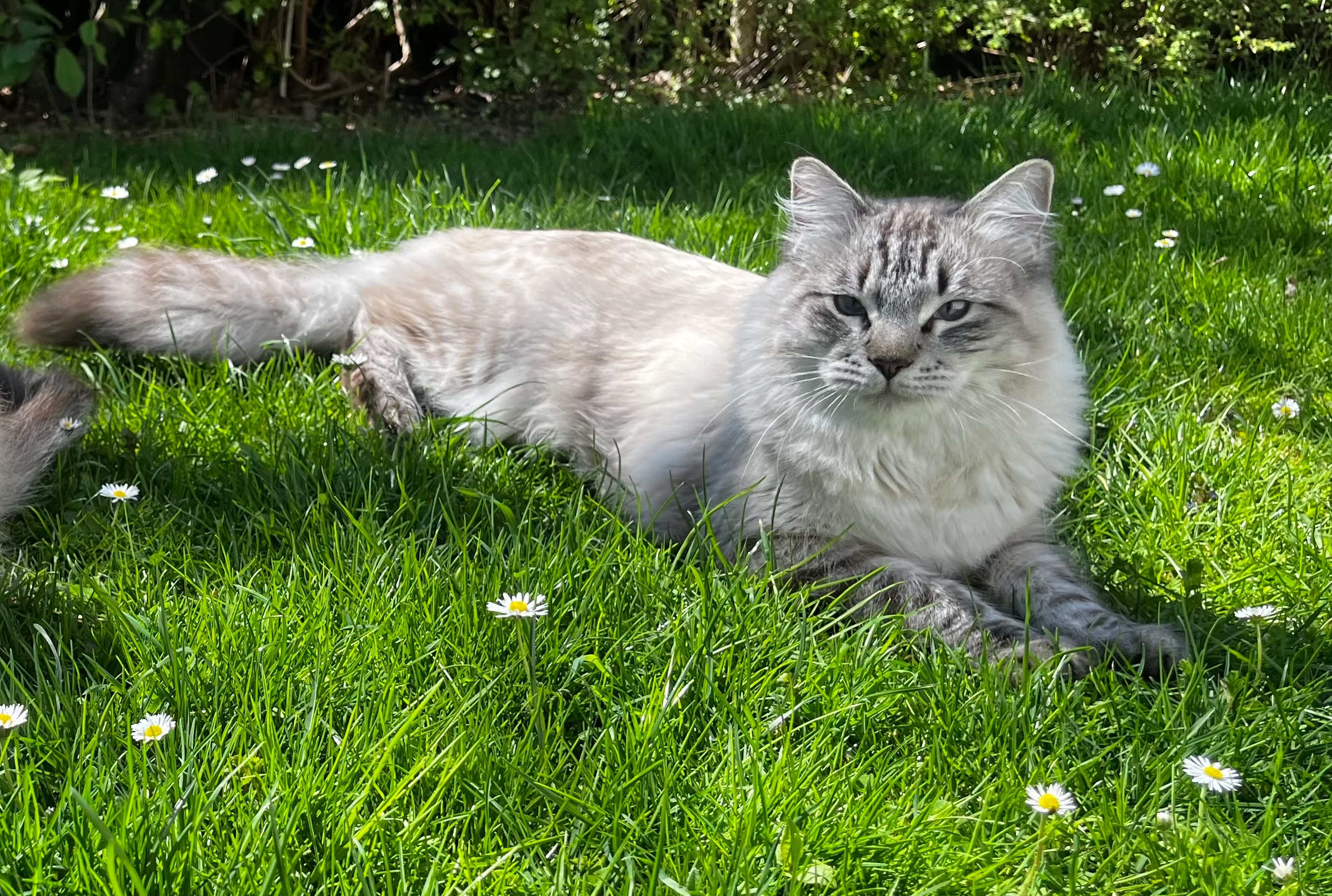 Leo - Herderstraße, Pocking