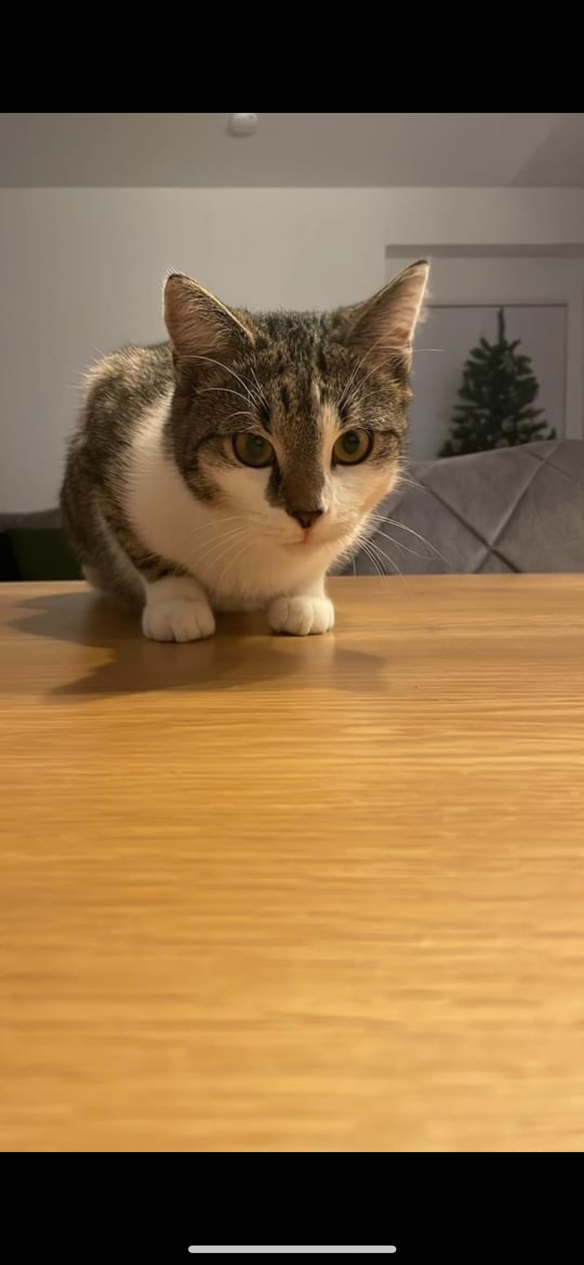 Simba - Biochemiestraße, Kundl