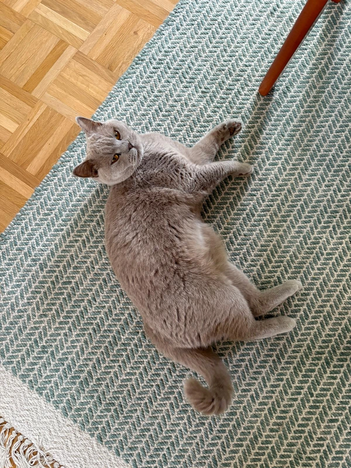 Mia - Mittelweg, Seelze