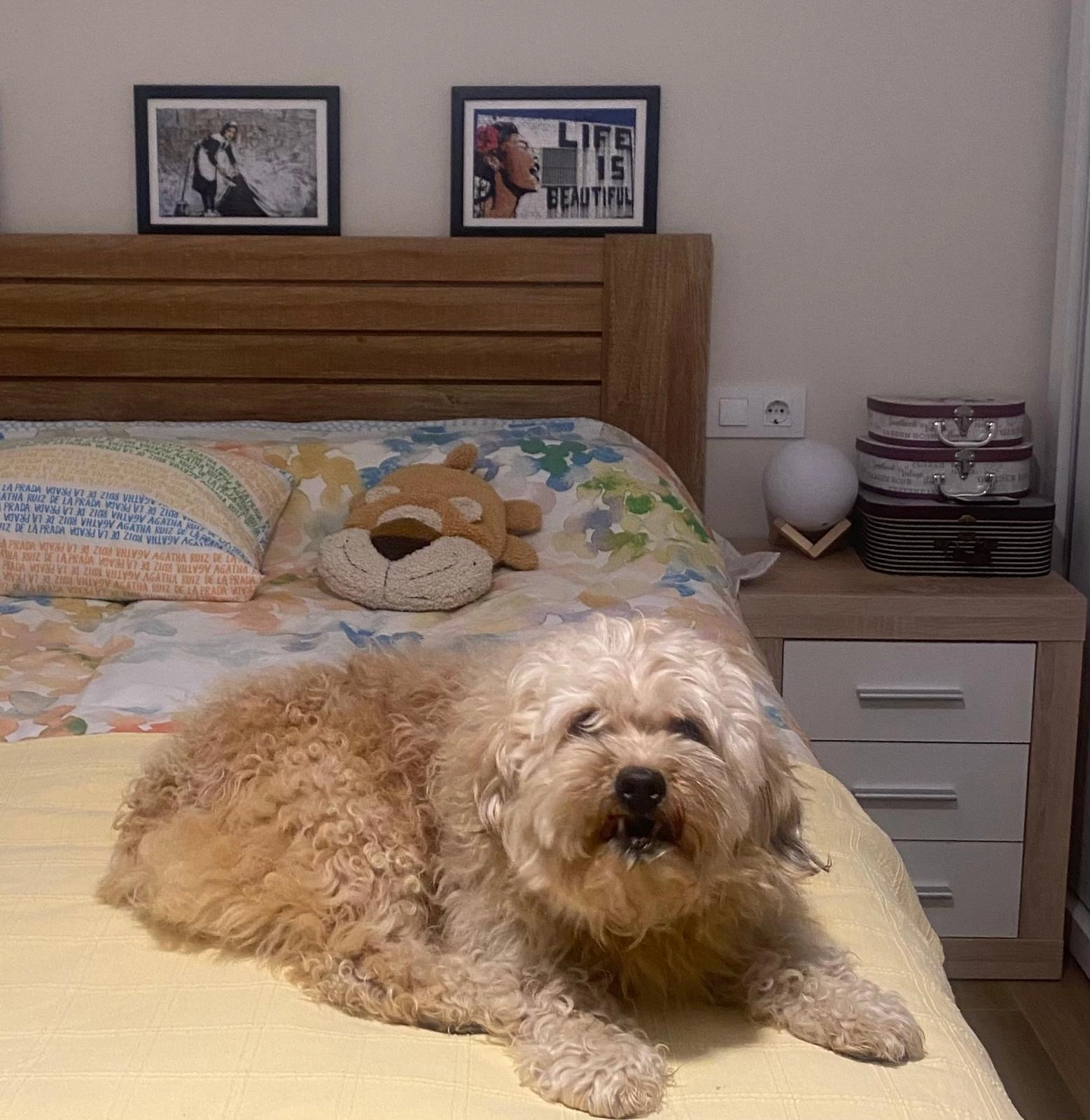 Winnie  - Urbanização Praia Verde 142, Castro Marim