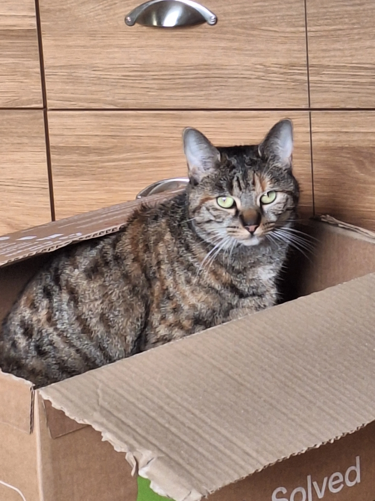 Autumn - Adam Bede Crescent, Matlock