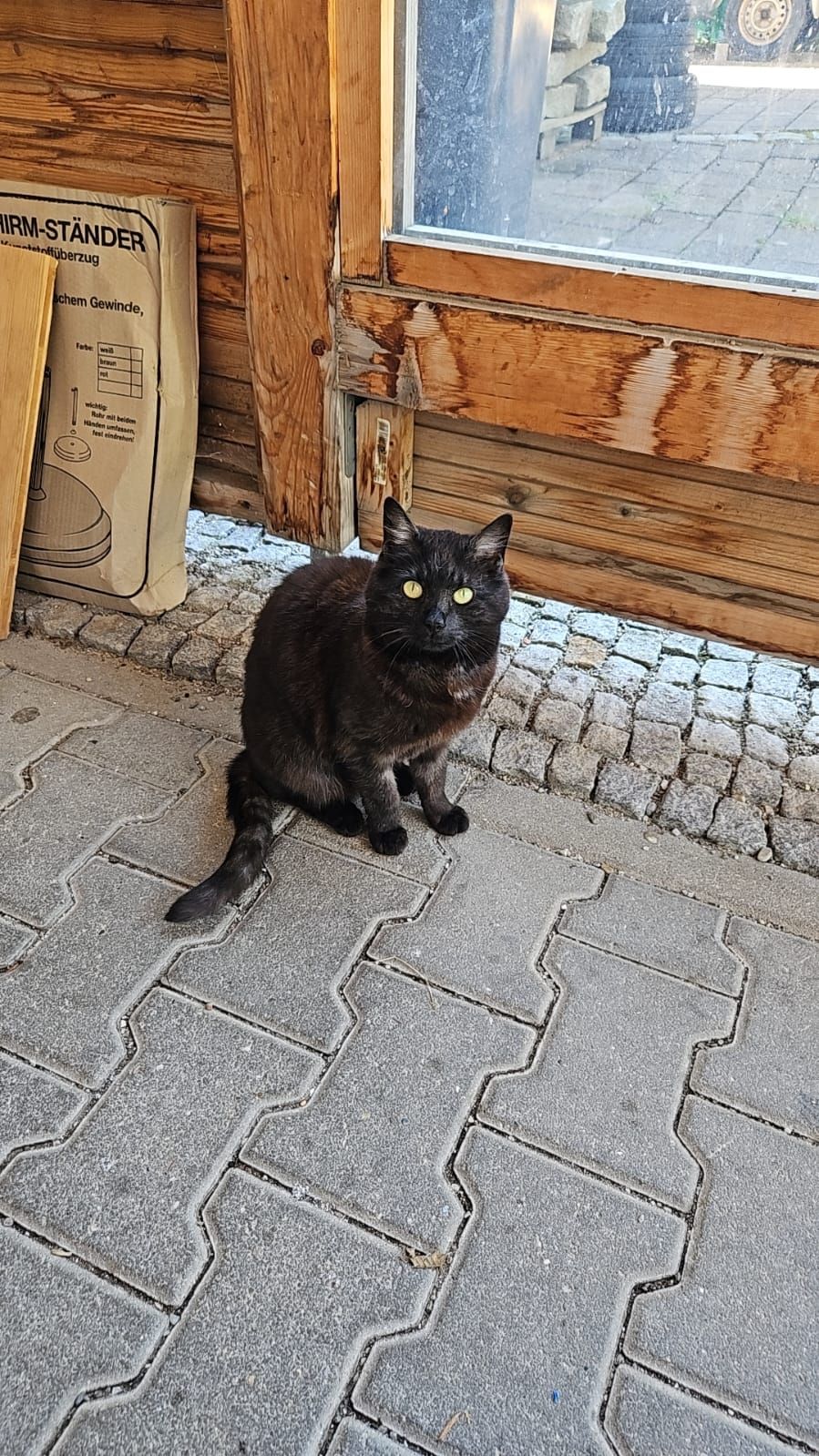 Cindy - Mühlwinkel, Grassau