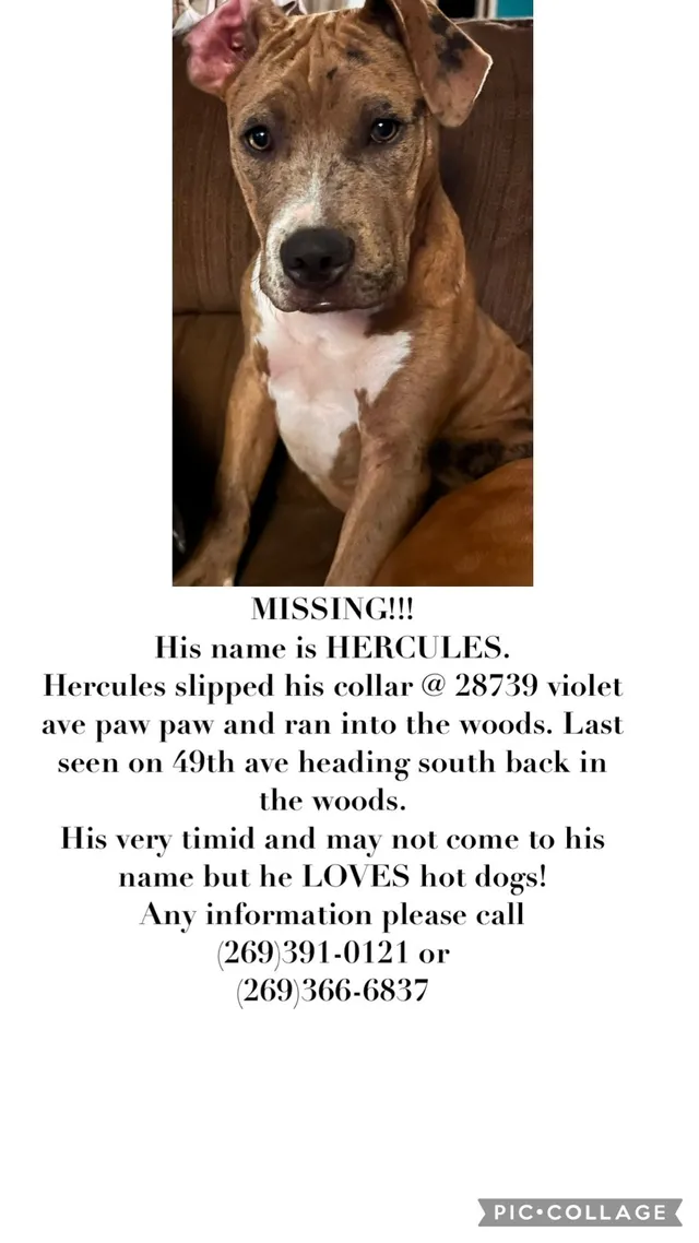 Hercules - 49th Ave, Paw Paw