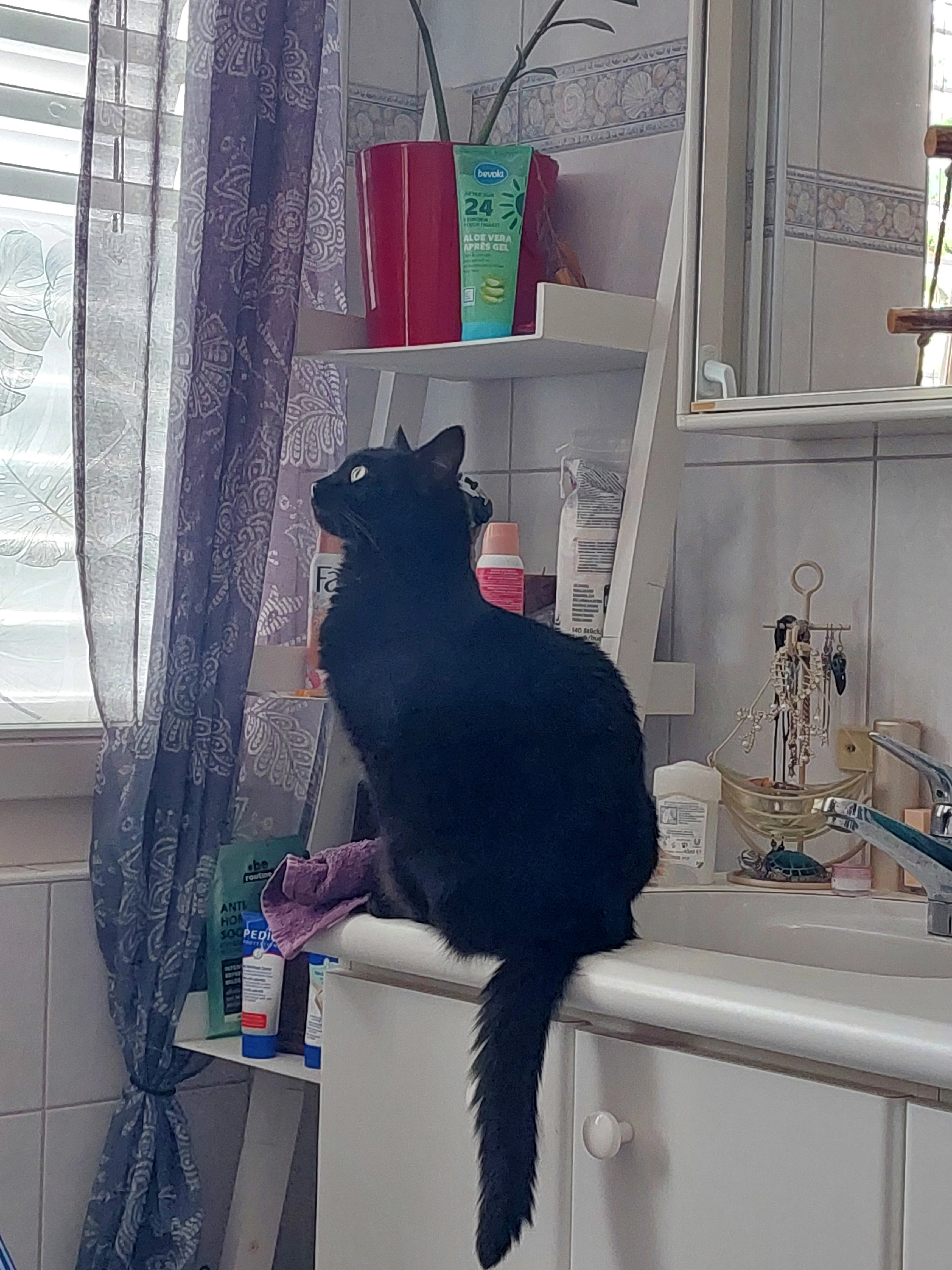 Elli - Hauptstrasse, Möhlin