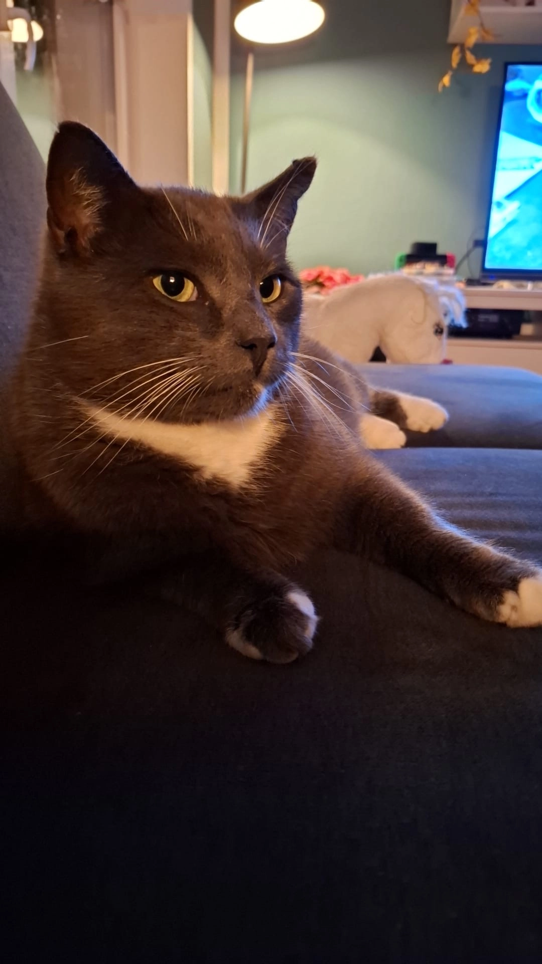 Simon - Stenenkamp 3, Uplengen