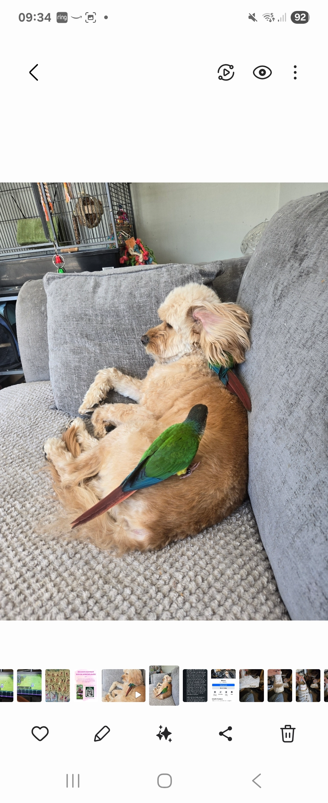 Bailey - Medway Road, Ferndown