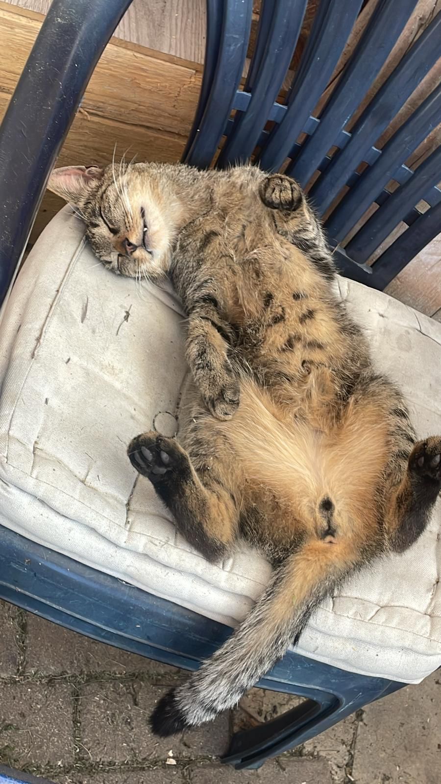 Milo - An Den Sperrwiesen, Weißenburg in Bayern