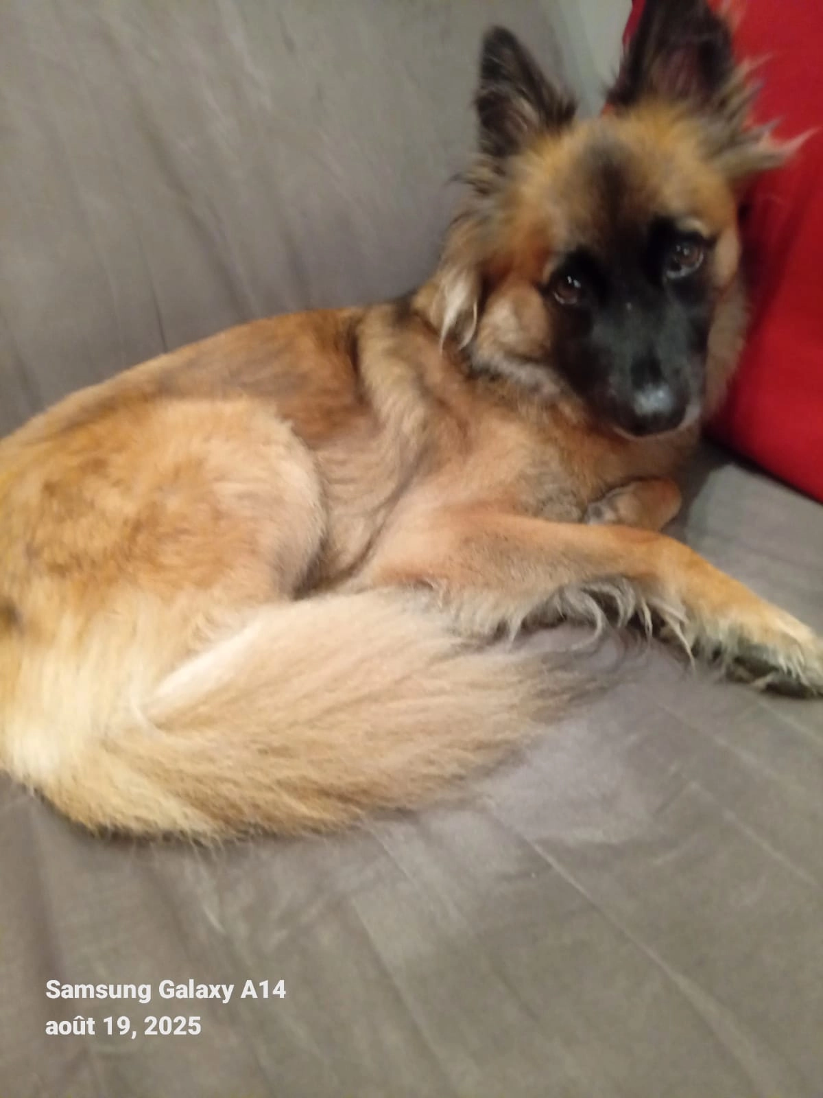 Oona  - Route du Risse, Onnion