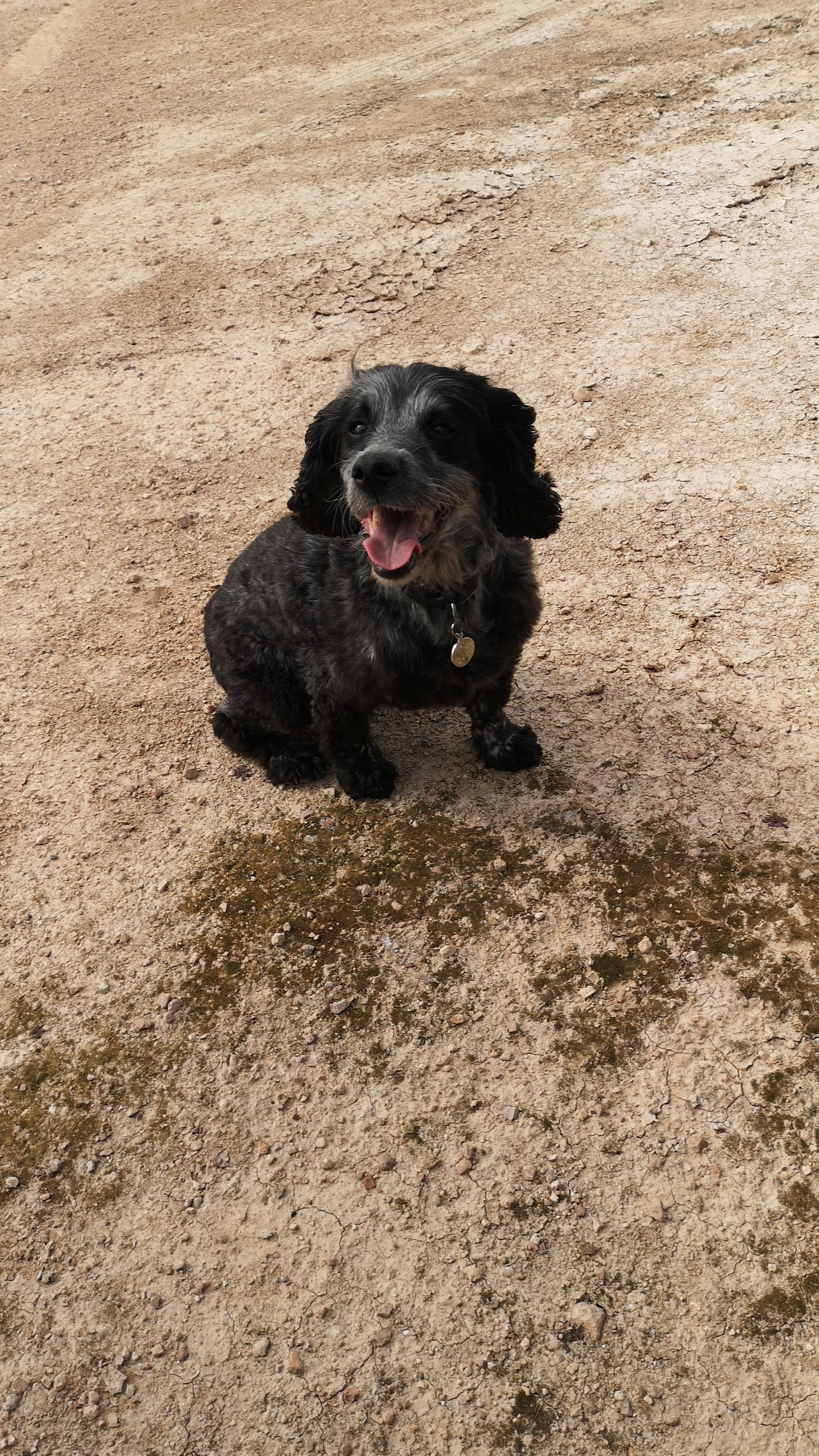 Keito  - Calle Condado De Alhama Ii, Alhama de Murcia