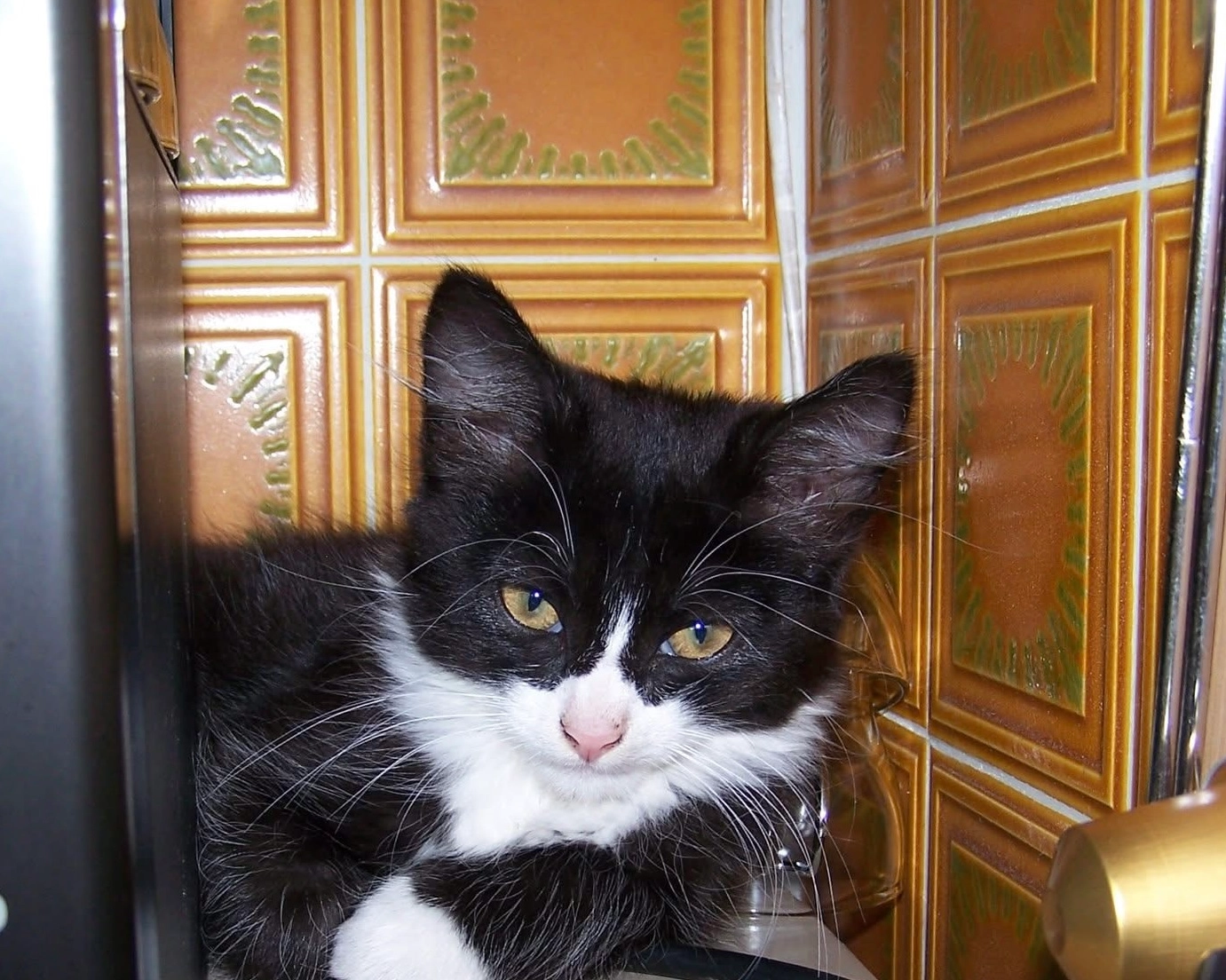 Mina - Rue des Anciens Combattants d'Afrique du Nord, Auneau-Bleury-Saint-Symphorien