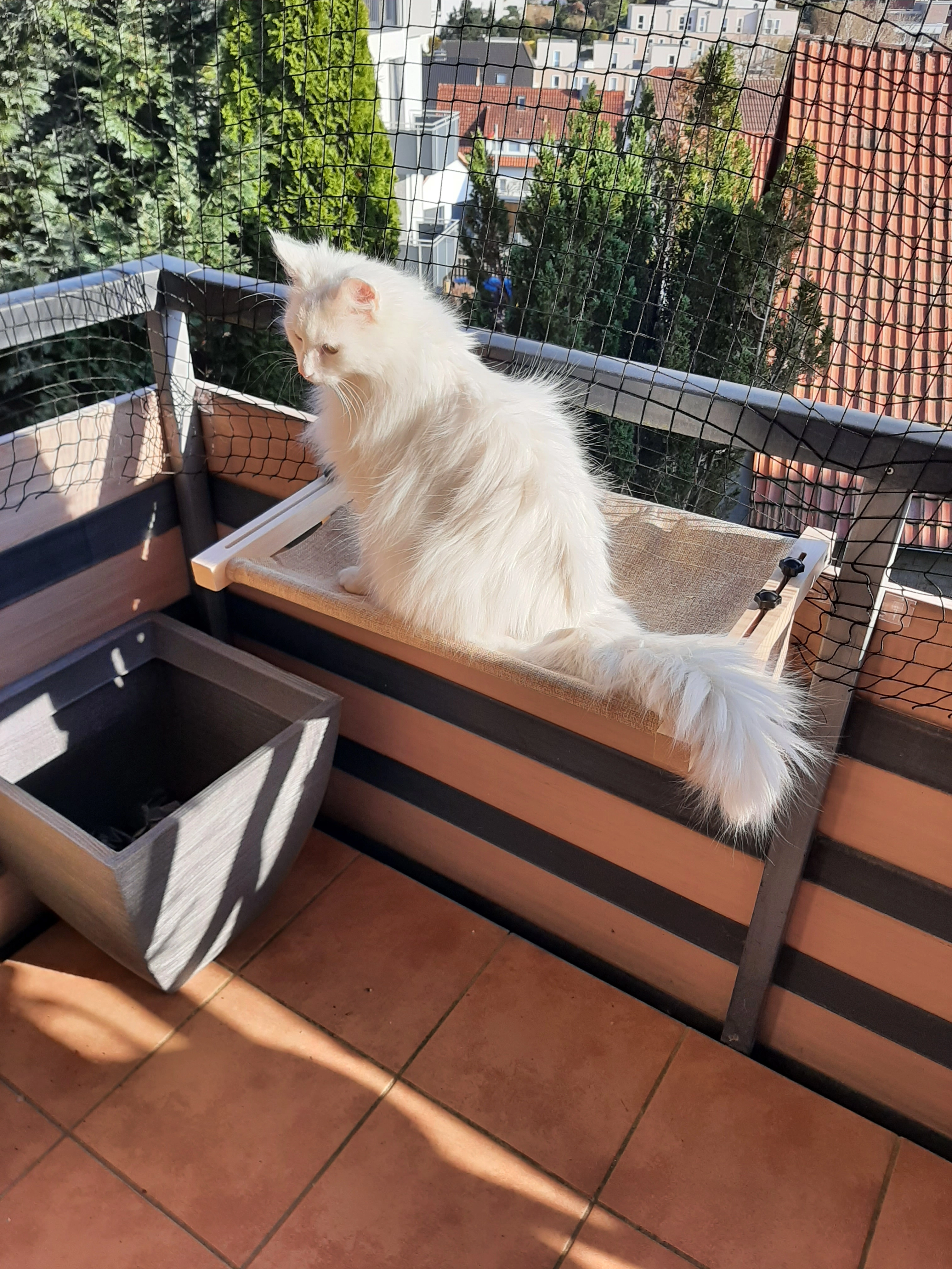 Yuki - Kalklage, Göttingen