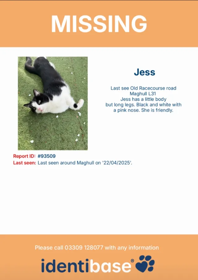 Jess - Old Racecourse Road, Liverpool