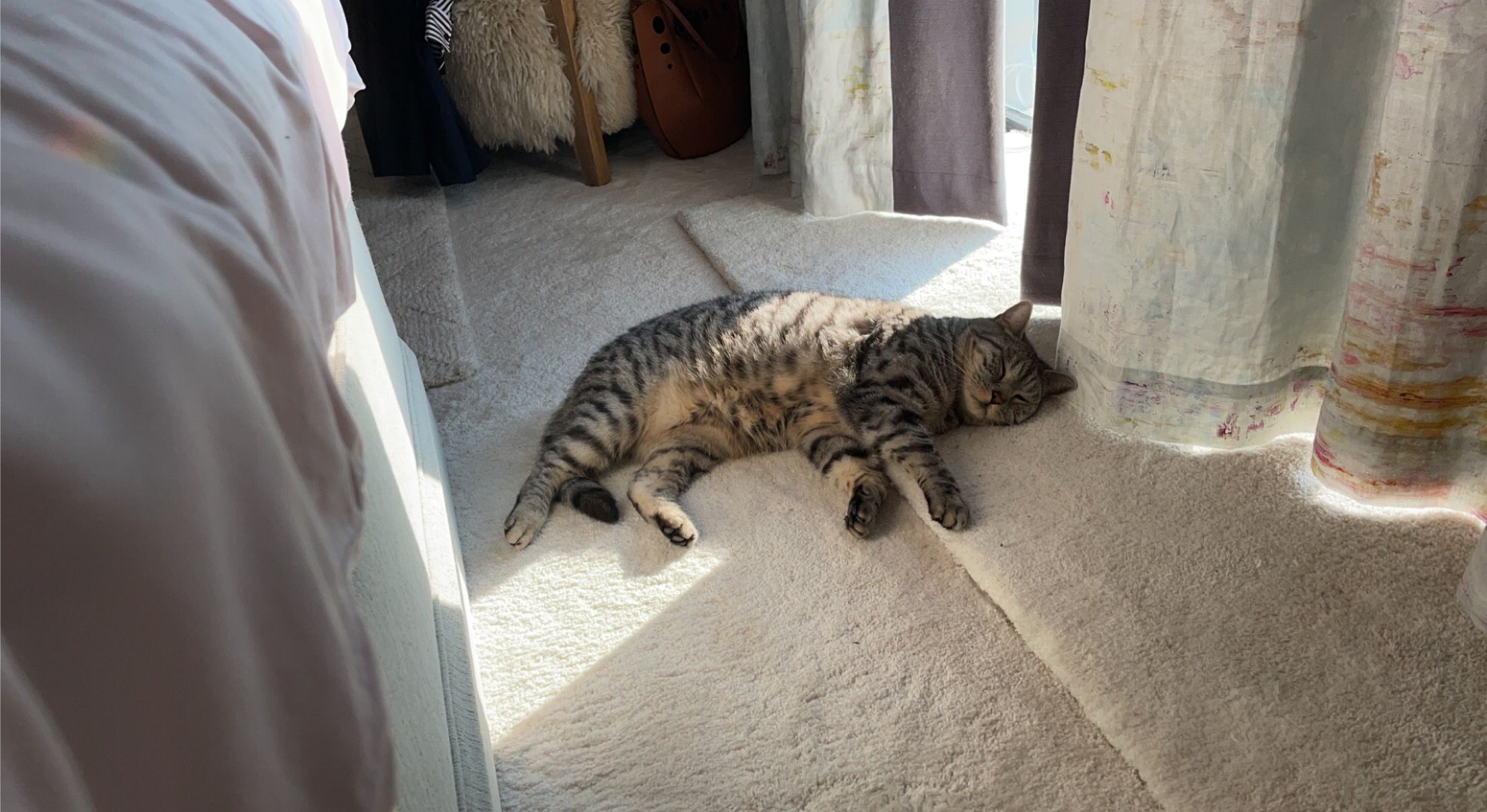 Lenny - Ruskin Drive, Carnforth