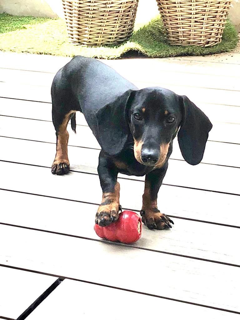 Sam - Carrer del Berganti, Dénia