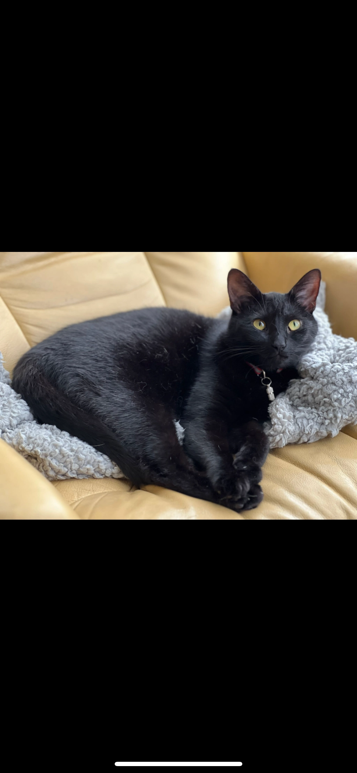 Leia - Babraham Road, Cambridge