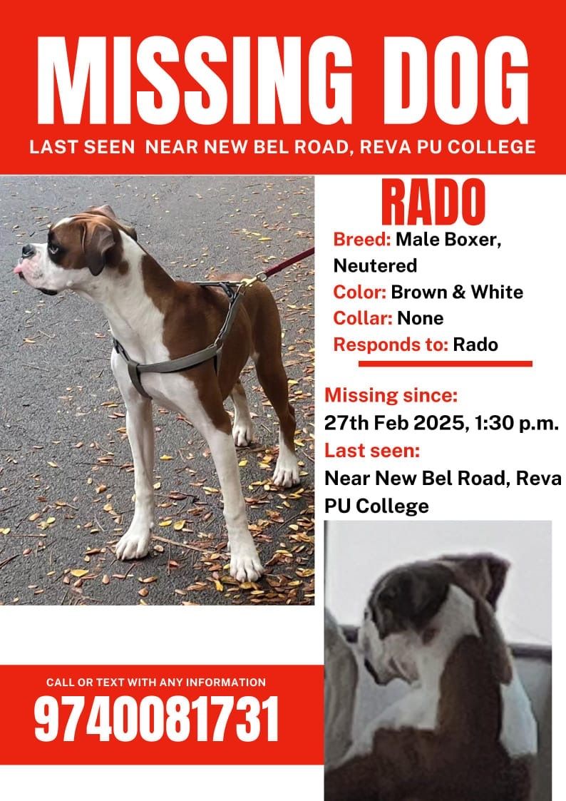 Rado - 3rd Main Road, Bengaluru