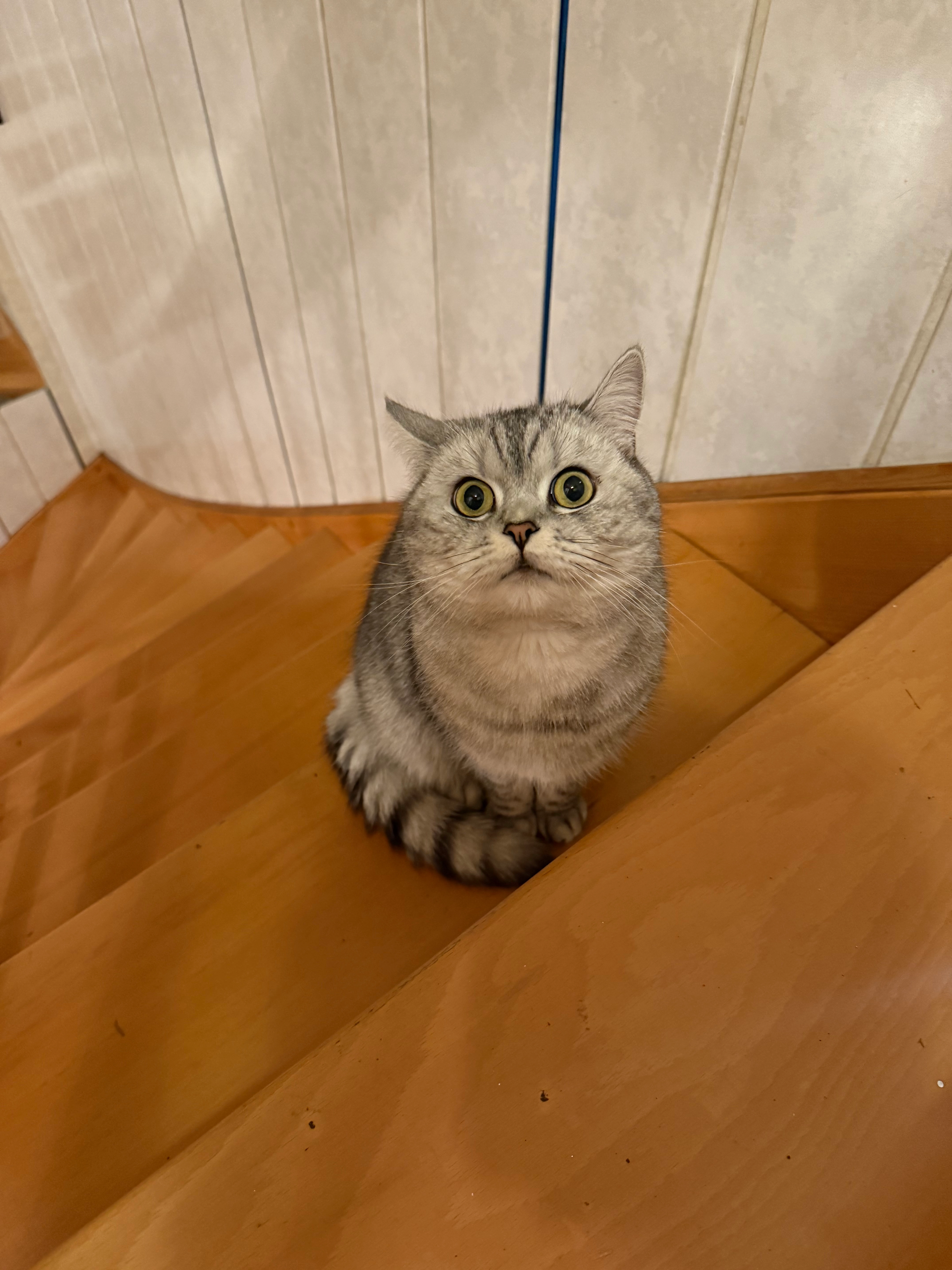 Lokum - Im Meinecken Sohl, Gifhorn